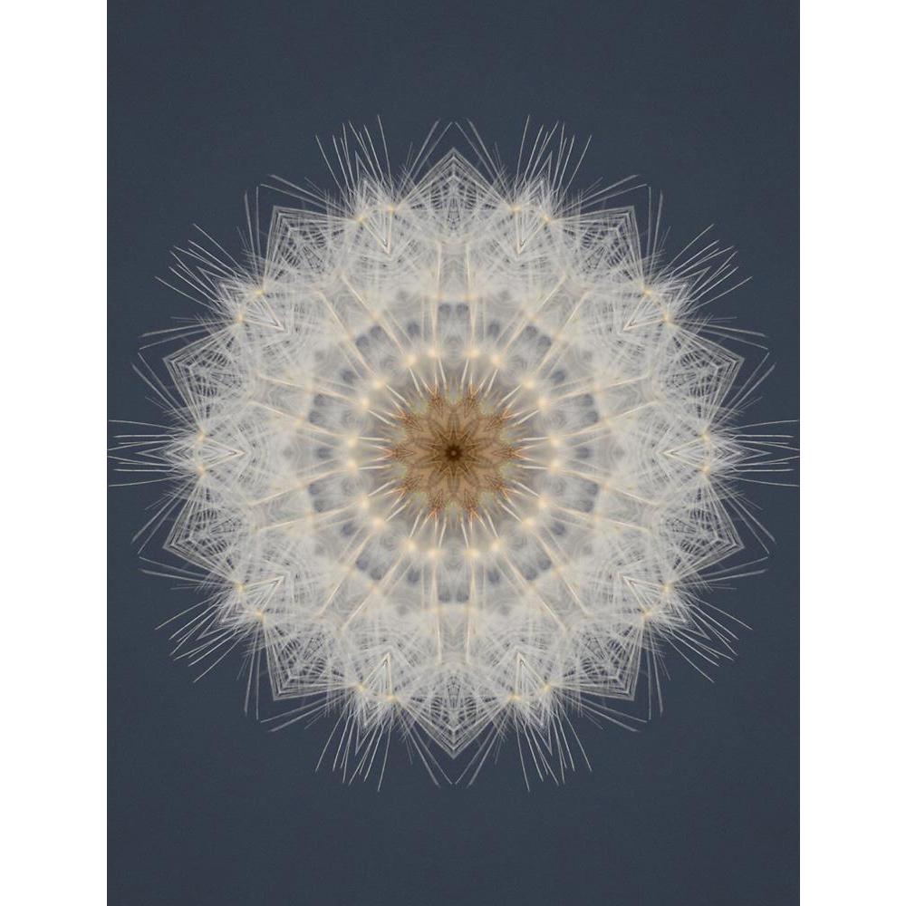 ArtzFolio Kaleidoscope Background Abstract Tile Effect Unframed Premium Canvas Painting-Paintings Unframed Premium-AZ5005699ART_UN_RF_R-0-Image Code 5005699 Vishnu Image Folio Pvt Ltd, IC 5005699, ArtzFolio, Paintings Unframed Premium, Abstract, Digital Art, kaleidoscope, background, tile, effect, unframed, premium, canvas, painting, large, size, print, wall, for, living, room, without, frame, decorative, poster, art, pitaara, box, drawing, photography, amazonbasics, big, kids, designer, office, reception, 