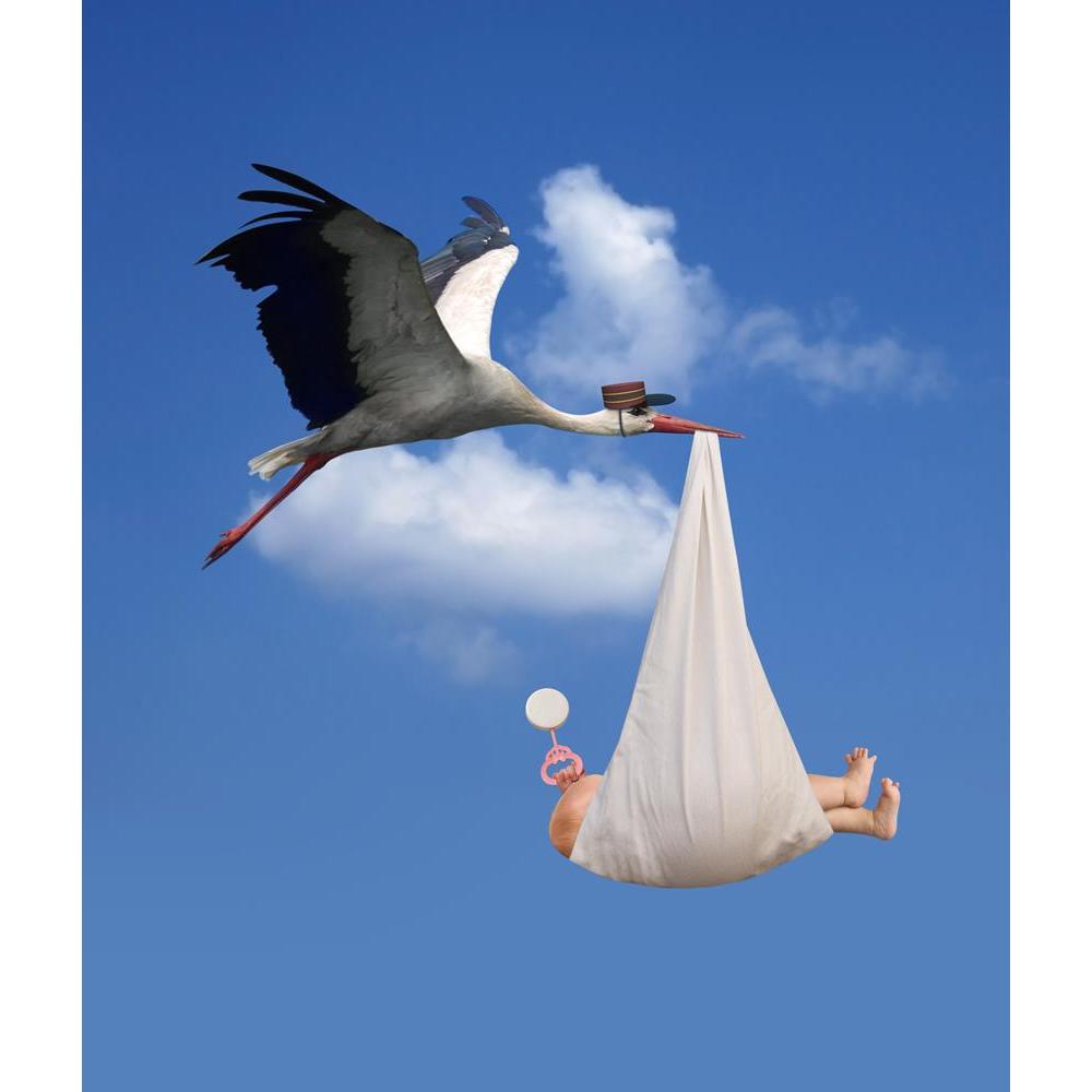 ArtzFolio Stork in Flight Delivering a Newborn Baby Unframed Premium Canvas Painting-Paintings Unframed Premium-AZ5005717ART_UN_RF_R-0-Image Code 5005717 Vishnu Image Folio Pvt Ltd, IC 5005717, ArtzFolio, Paintings Unframed Premium, Birds, Conceptual, Kids, Photography, stork, in, flight, delivering, a, newborn, baby, unframed, premium, canvas, painting, large, size, print, wall, for, living, room, without, frame, decorative, poster, art, pitaara, box, drawing, amazonbasics, big, designer, office, reception