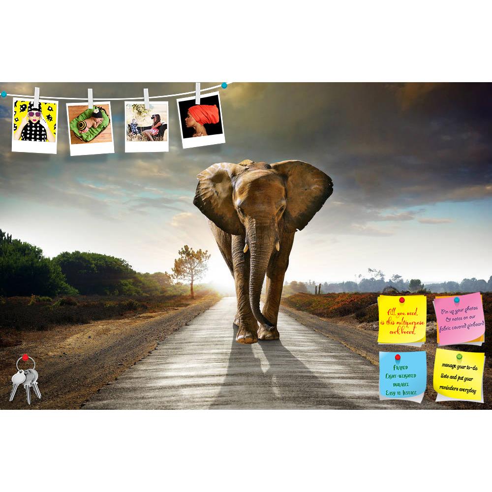 ArtzFolio Elephant Walking on the Road Printed Bulletin Board Notice Pin Board Soft Board | Frameless-Bulletin Boards Frameless-AZ5005725BLB_FL_RF_R-0-Image Code 5005725 Vishnu Image Folio Pvt Ltd, IC 5005725, ArtzFolio, Bulletin Boards Frameless, Animals, Photography, elephant, walking, on, the, road, printed, bulletin, board, notice, pin, soft, frameless, african, animal, asphalt, attraction, big, big-five, big-5, conservation, dangerous, dominant, ears, ecology, endangered, environment, front, great, her