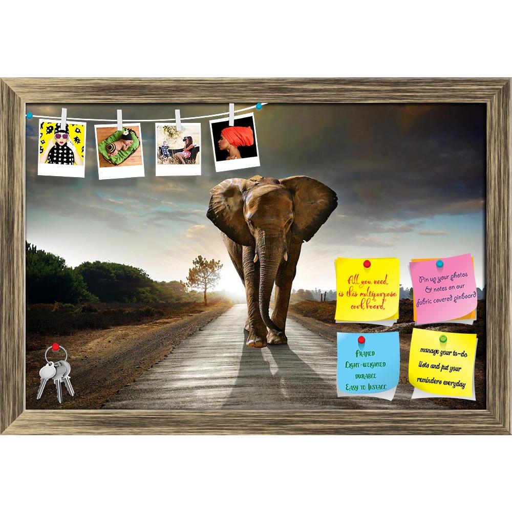 ArtzFolio Elephant Walking on the Road Printed Bulletin Board Notice Pin Board Soft Board | Framed-Bulletin Boards Framed-AZ5005725BLB_FR_RF_R-0-Image Code 5005725 Vishnu Image Folio Pvt Ltd, IC 5005725, ArtzFolio, Bulletin Boards Framed, Animals, Photography, elephant, walking, on, the, road, printed, bulletin, board, notice, pin, soft, framed, african, animal, asphalt, attraction, big, big-five, big-5, conservation, dangerous, dominant, ears, ecology, endangered, environment, front, great, herbivore, ivor