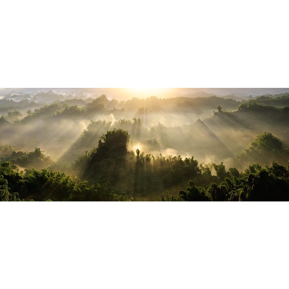 ArtzFolio Forest Morning with Golden Sunlight Unframed Premium Canvas Painting-Paintings Unframed Premium-AZ5005726ART_UN_RF_R-0-Image Code 5005726 Vishnu Image Folio Pvt Ltd, IC 5005726, ArtzFolio, Paintings Unframed Premium, Landscapes, Places, Photography, forest, morning, with, golden, sunlight, unframed, premium, canvas, painting, large, size, print, wall, for, living, room, without, frame, decorative, poster, art, pitaara, box, drawing, amazonbasics, big, kids, designer, office, reception, reprint, be