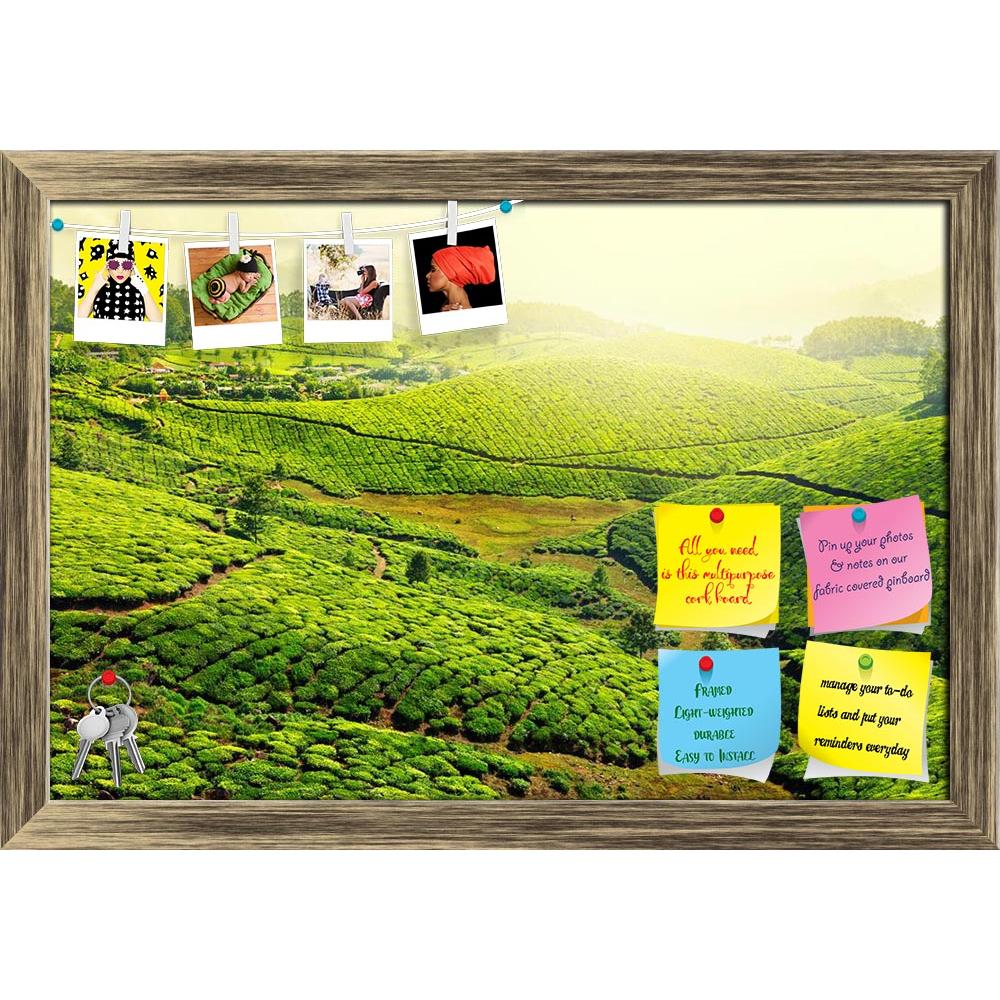 ArtzFolio Image of Tea Plantations, Munnar, Kerala India Printed Bulletin Board Notice Pin Board Soft Board | Framed-Bulletin Boards Framed-AZ5005734BLB_FR_RF_R-0-Image Code 5005734 Vishnu Image Folio Pvt Ltd, IC 5005734, ArtzFolio, Bulletin Boards Framed, Landscapes, Photography, image, of, tea, plantations, munnar, kerala, india, printed, bulletin, board, notice, pin, soft, framed, asia, indian, south, agriculture, asian, crop, cropland, crops, cultivated, daytime, dreamy, farm, fertility, field, fog, fog