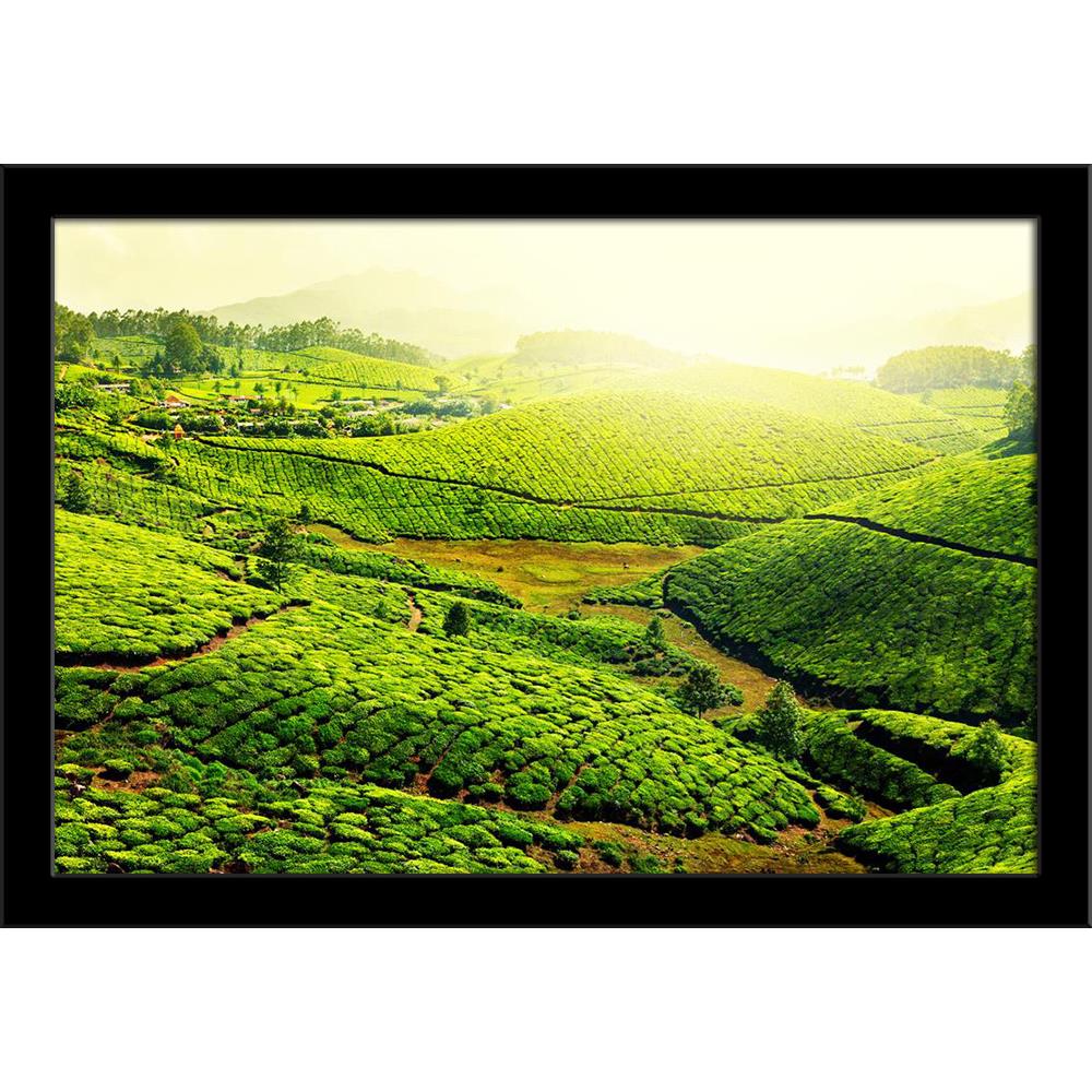 Image of Tea Plantations, Munnar, Kerala India Painting Poster Frame-Regular Art Framed-REG_FR-IC 5005734 IC 5005734, Asian, Culture, Ethnic, Indian, Landscapes, Mountains, Nature, Rural, Scenic, Traditional, Tribal, World Culture, image, of, tea, plantations, munnar, kerala, india, painting, poster, frame, agriculture, asia, crop, cropland, crops, cultivated, daytime, dreamy, farm, fertility, field, fog, foggy, freshness, green, growth, highlands, hill, hills, idyllic, landscape, leaf, leaves, lush, mist, 