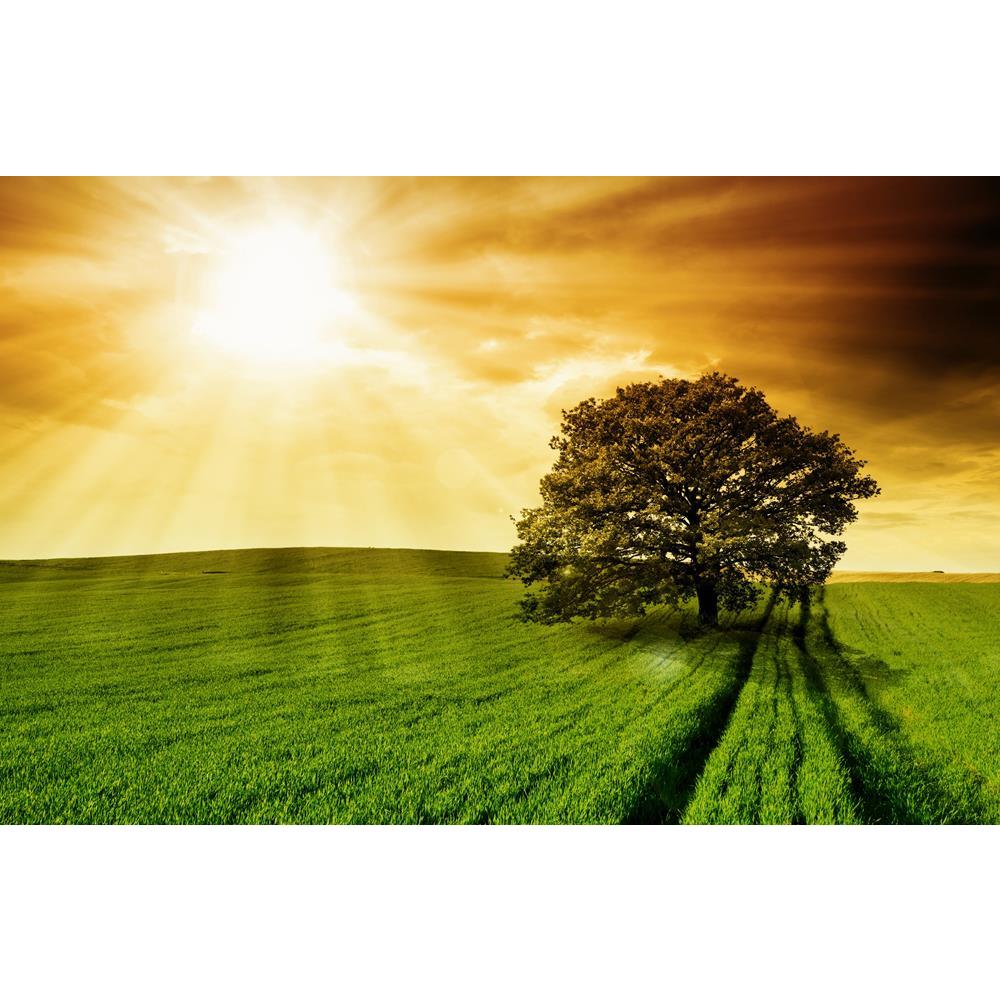 ArtzFolio Lonely Tree Against A Blue Sky At Sunset Canvas Painting-Paintings MDF Framing-AZ5005738ART_UN_RF_R-0-Image Code 5005738 Vishnu Image Folio Pvt Ltd, IC 5005738, ArtzFolio, Paintings MDF Framing, Landscapes, Photography, lonely, tree, against, a, blue, sky, at, sunset, canvas, painting, framed, print, wall, for, living, room, with, frame, poster, pitaara, box, large, size, drawing, art, split, big, office, reception, of, kids, panel, designer, decorative, amazonbasics, reprint, small, bedroom, on, 