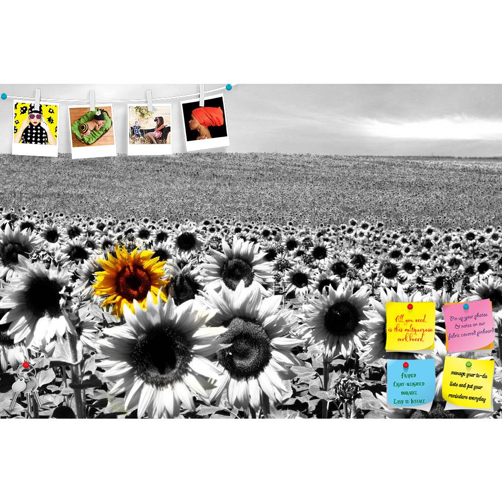 ArtzFolio Sunflower Field Printed Bulletin Board Notice Pin Board Soft Board | Frameless-Bulletin Boards Frameless-AZ5005747BLB_FL_RF_R-0-Image Code 5005747 Vishnu Image Folio Pvt Ltd, IC 5005747, ArtzFolio, Bulletin Boards Frameless, Floral, Photography, sunflower, field, printed, bulletin, board, notice, pin, soft, frameless, agriculture, background, beautiful, blossom, blue, botanical, circle, colorful, country, culture, farming, flora, flower, green, growth, landscape, leaf, organic, nature, outdoor, pe