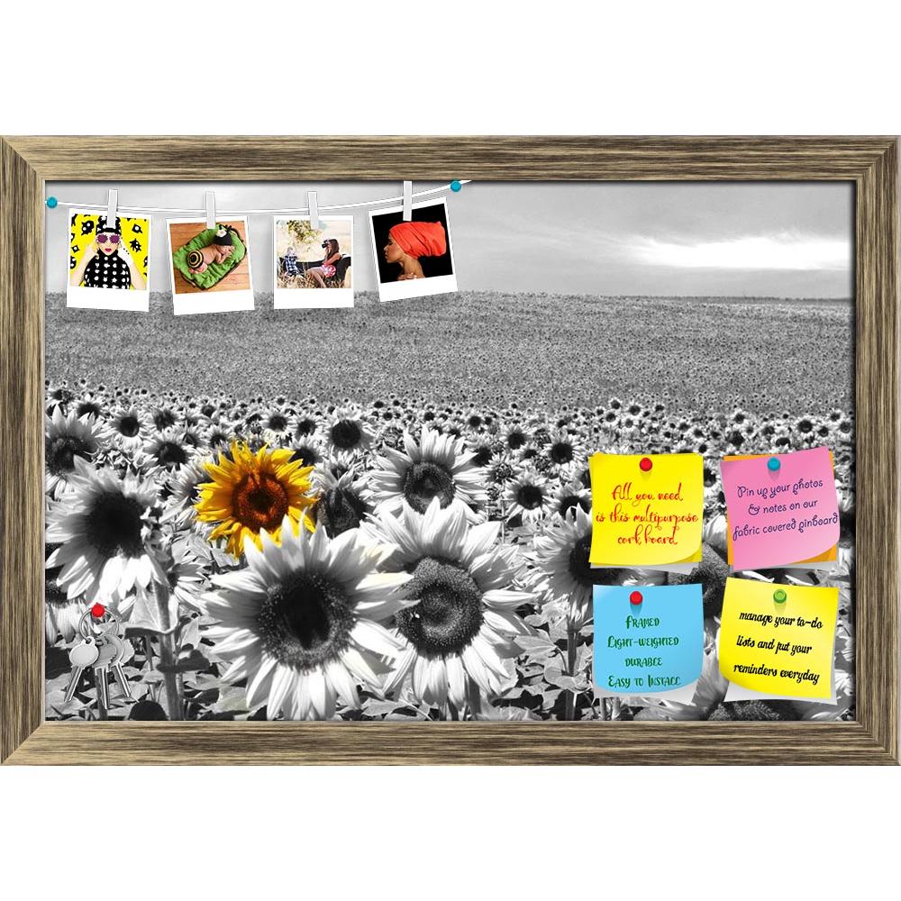 ArtzFolio Sunflower Field Printed Bulletin Board Notice Pin Board Soft Board | Framed-Bulletin Boards Framed-AZ5005747BLB_FR_RF_R-0-Image Code 5005747 Vishnu Image Folio Pvt Ltd, IC 5005747, ArtzFolio, Bulletin Boards Framed, Floral, Photography, sunflower, field, printed, bulletin, board, notice, pin, soft, framed, agriculture, background, beautiful, blossom, blue, botanical, circle, colorful, country, culture, farming, flora, flower, green, growth, landscape, leaf, organic, nature, outdoor, petals, plant,