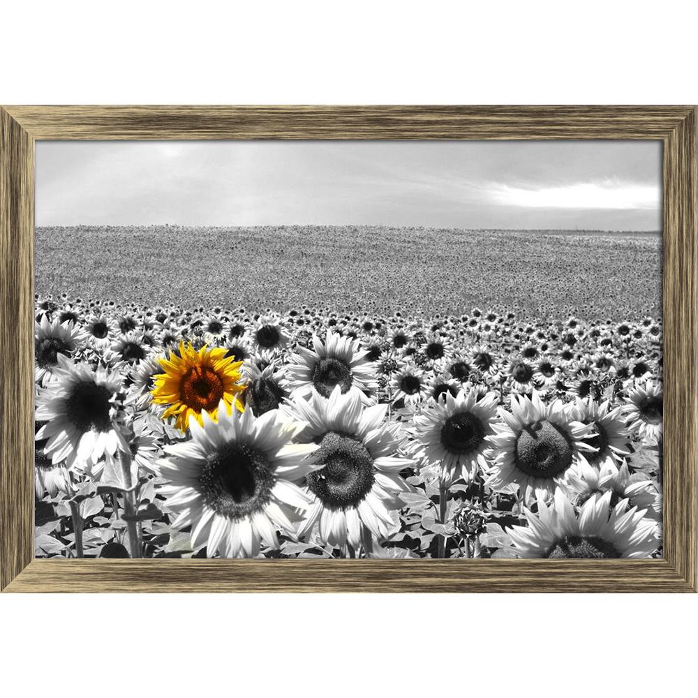 ArtzFolio Sunflower Field Canvas Painting-Paintings Wooden Framing-AZ5005747ART_FR_RF_R-0-Image Code 5005747 Vishnu Image Folio Pvt Ltd, IC 5005747, ArtzFolio, Paintings Wooden Framing, Floral, Photography, sunflower, field, canvas, painting, framed, print, wall, for, living, room, with, frame, poster, pitaara, box, large, size, drawing, art, split, big, office, reception, of, kids, panel, designer, decorative, amazonbasics, reprint, small, bedroom, on, scenery, agriculture, background, beautiful, blossom, 
