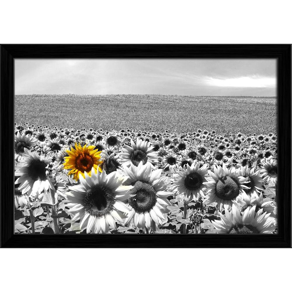 ArtzFolio Sunflower Field Canvas Painting Synthetic Frame-Paintings Synthetic Framing-AZ5005747ART_FR_RF_R-0-Image Code 5005747 Vishnu Image Folio Pvt Ltd, IC 5005747, ArtzFolio, Paintings Synthetic Framing, Floral, Photography, sunflower, field, canvas, painting, synthetic, frame, framed, print, wall, for, living, room, with, poster, pitaara, box, large, size, drawing, art, split, big, office, reception, of, kids, panel, designer, decorative, amazonbasics, reprint, small, bedroom, on, scenery, agriculture,