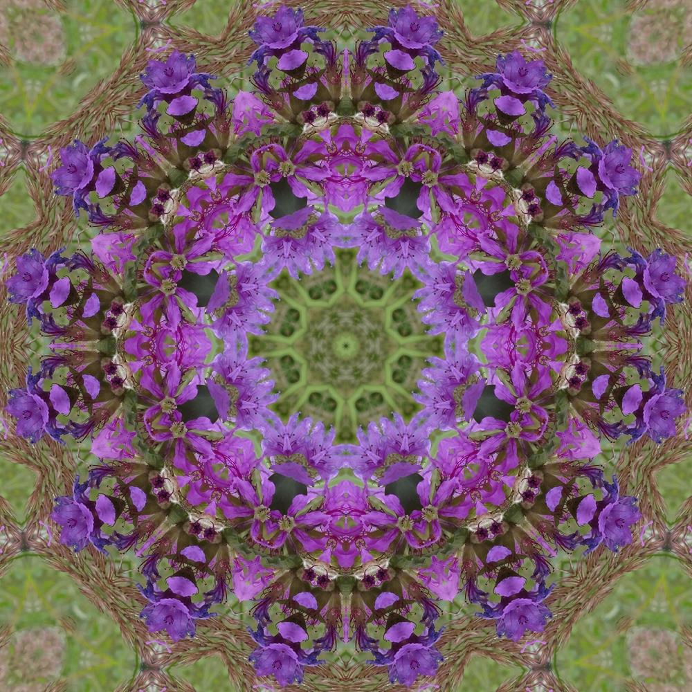 ArtzFolio Purple Floral Mandala D1 Unframed Premium Canvas Painting-Paintings Unframed Premium-AZ5005752ART_UN_RF_R-0-Image Code 5005752 Vishnu Image Folio Pvt Ltd, IC 5005752, ArtzFolio, Paintings Unframed Premium, Abstract, Traditional, Digital Art, purple, floral, mandala, d1, unframed, premium, canvas, painting, large, size, print, wall, for, living, room, without, frame, decorative, poster, art, pitaara, box, drawing, photography, amazonbasics, big, kids, designer, office, reception, reprint, bedroom, 