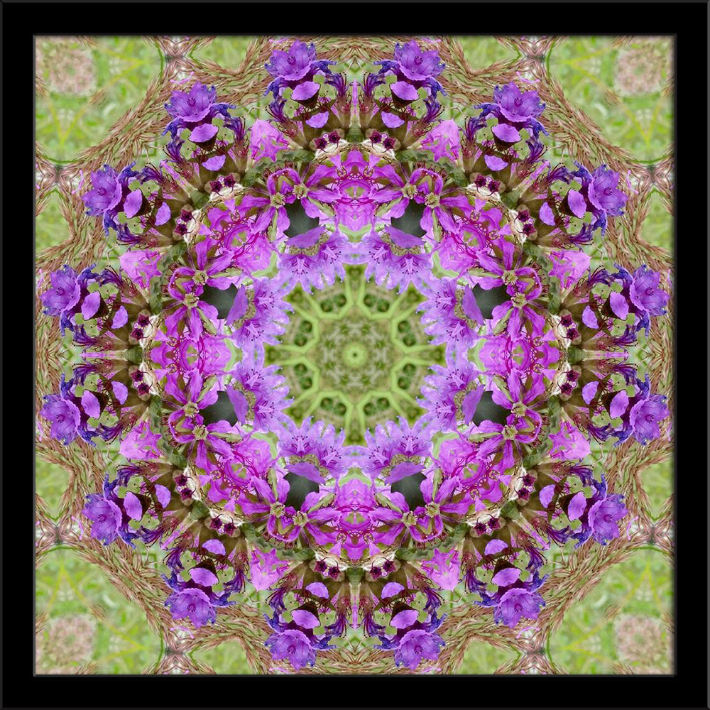 Purple Floral Mandala Painting Poster Frame-Regular Art Framed-REG_FR-IC 5005752 IC 5005752, Abstract Expressionism, Abstracts, Art and Paintings, Botanical, Circle, Digital, Digital Art, Floral, Flowers, Geometric, Geometric Abstraction, Graphic, Illustrations, Mandala, Modern Art, Nature, Patterns, Semi Abstract, purple, painting, poster, frame, kaleidoscope, mandalas, abstract, art, artistic, backdrop, background, center, circular, concentric, curve, decor, decoration, fractal, green, illustration, moder