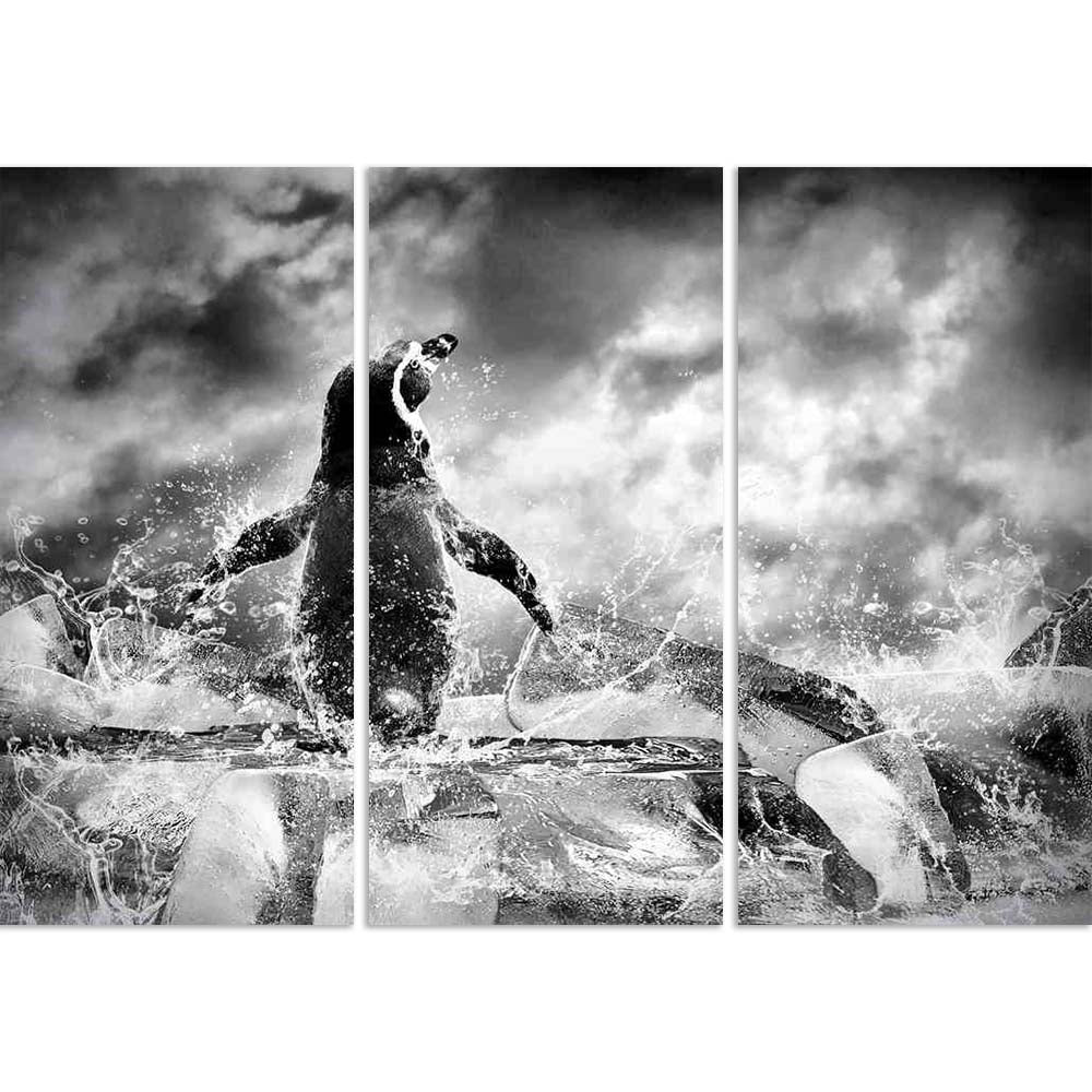 ArtzFolio Penguin On The Ice In Water Drops D1 Split Art Painting Panel on Sunboard-Split Art Panels-AZ5005756SPL_FR_RF_R-0-Image Code 5005756 Vishnu Image Folio Pvt Ltd, IC 5005756, ArtzFolio, Split Art Panels, Animals, Photography, penguin, on, the, ice, in, water, drops, d1, split, art, painting, panel, sunboard, framed, canvas, print, wall, for, living, room, with, frame, poster, pitaara, box, large, size, drawing, big, office, reception, of, kids, designer, decorative, amazonbasics, reprint, small, bed