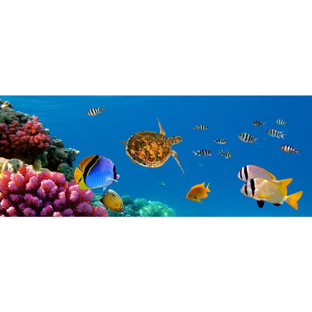 ArtzFolio Underwater Panorama with Turtle Coral Reef Peel & Stick Vinyl Wall Sticker-Laminated Wall Stickers-AZ5005763ART_UN_RF_R-0-Image Code 5005763 Vishnu Image Folio Pvt Ltd, IC 5005763, ArtzFolio, Laminated Wall Stickers, Animals, Photography, underwater, panorama, with, turtle, coral, reef, peel, stick, vinyl, wall, sticker, for, bedroom, large, size, decal, drawing, room, living, decorative, big, waterproof, home, office, reception, pitaara, box, designer, prints, kids, pvc, amazonbasics, washable, a