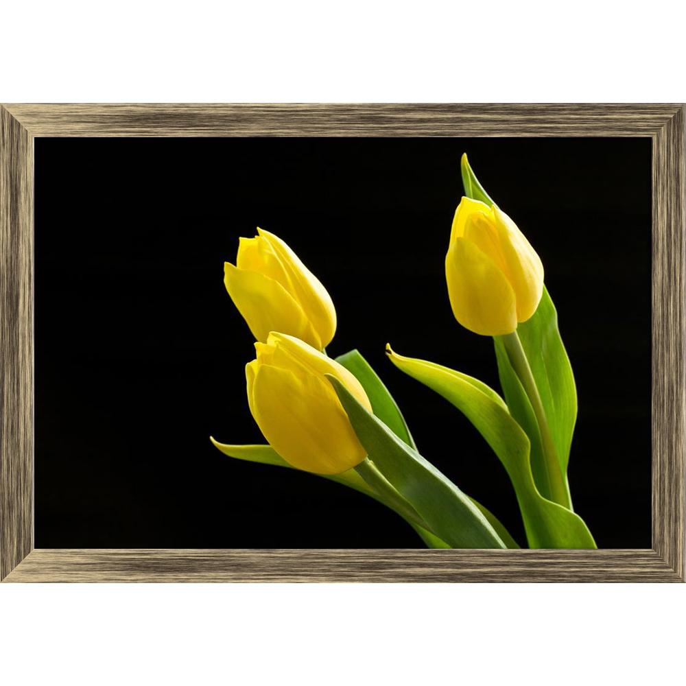 ArtzFolio Beautiful Yellow Tulips On A Black Background Canvas Painting Synthetic Frame-Paintings Synthetic Framing-AZ5005770ART_FR_RF_R-0-Image Code 5005770 Vishnu Image Folio Pvt Ltd, IC 5005770, ArtzFolio, Paintings Synthetic Framing, Floral, Photography, beautiful, yellow, tulips, on, a, black, background, canvas, painting, synthetic, frame, framed, print, wall, for, living, room, with, poster, pitaara, box, large, size, drawing, art, split, big, office, reception, of, kids, panel, designer, decorative,