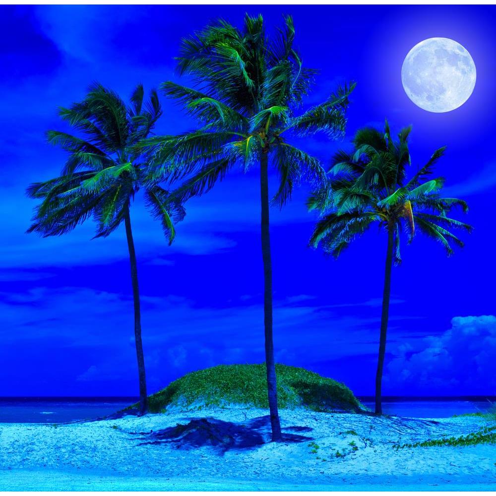 ArtzFolio Tropical Beach At Night With A Bright Full Moon Unframed Premium Canvas Painting-Paintings Unframed Premium-AZ5005772ART_UN_RF_R-0-Image Code 5005772 Vishnu Image Folio Pvt Ltd, IC 5005772, ArtzFolio, Paintings Unframed Premium, Landscapes, Photography, tropical, beach, at, night, with, a, bright, full, moon, unframed, premium, canvas, painting, large, size, print, wall, for, living, room, without, frame, decorative, poster, art, pitaara, box, drawing, amazonbasics, big, kids, designer, office, re