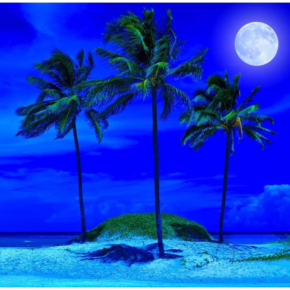 ArtzFolio Tropical Beach At Night With A Bright Full Moon Peel & Stick Vinyl Wall Sticker-Laminated Wall Stickers-AZ5005772ART_UN_RF_R-0-Image Code 5005772 Vishnu Image Folio Pvt Ltd, IC 5005772, ArtzFolio, Laminated Wall Stickers, Landscapes, Photography, tropical, beach, at, night, with, a, bright, full, moon, peel, stick, vinyl, wall, sticker, for, bedroom, large, size, decal, drawing, room, living, decorative, big, waterproof, home, office, reception, pitaara, box, designer, prints, kids, pvc, amazonbas