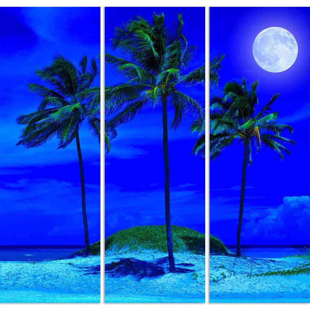ArtzFolio Tropical Beach At Night With A Bright Full Moon Split Art Painting Panel on Sunboard-Split Art Panels-AZ5005772SPL_FR_RF_R-0-Image Code 5005772 Vishnu Image Folio Pvt Ltd, IC 5005772, ArtzFolio, Split Art Panels, Landscapes, Photography, tropical, beach, at, night, with, a, bright, full, moon, split, art, painting, panel, on, sunboard, framed, canvas, print, wall, for, living, room, frame, poster, pitaara, box, large, size, drawing, big, office, reception, of, kids, designer, decorative, amazonbas