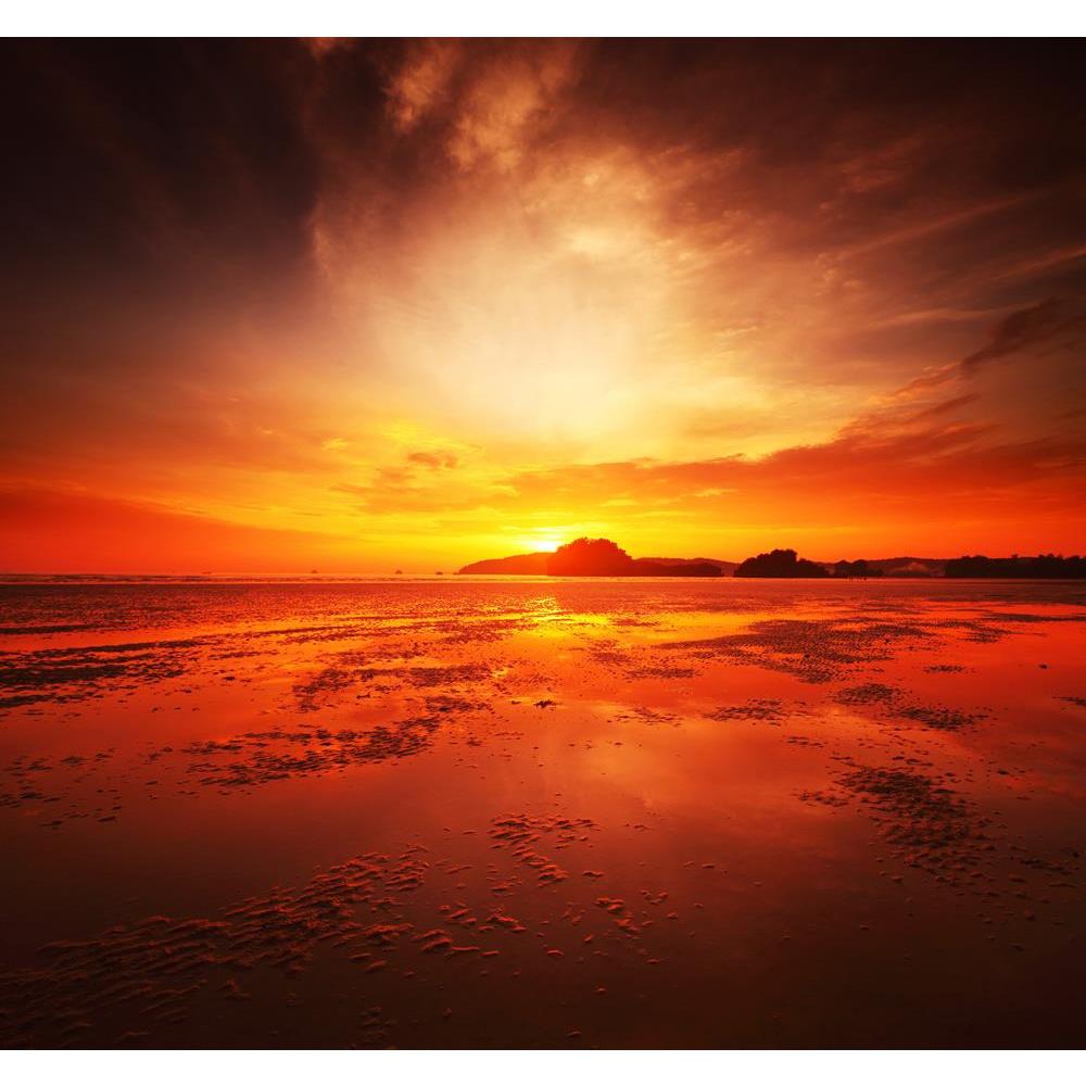 ArtzFolio Sunset Over Sandy Beach In Low Tide Peel & Stick Vinyl Wall Sticker-Laminated Wall Stickers-AZ5005773ART_UN_RF_R-0-Image Code 5005773 Vishnu Image Folio Pvt Ltd, IC 5005773, ArtzFolio, Laminated Wall Stickers, Landscapes, Photography, sunset, over, sandy, beach, in, low, tide, peel, stick, vinyl, wall, sticker, for, bedroom, large, size, decal, drawing, room, living, decorative, big, waterproof, home, office, reception, pitaara, box, designer, prints, kids, pvc, amazonbasics, washable, abstract, s