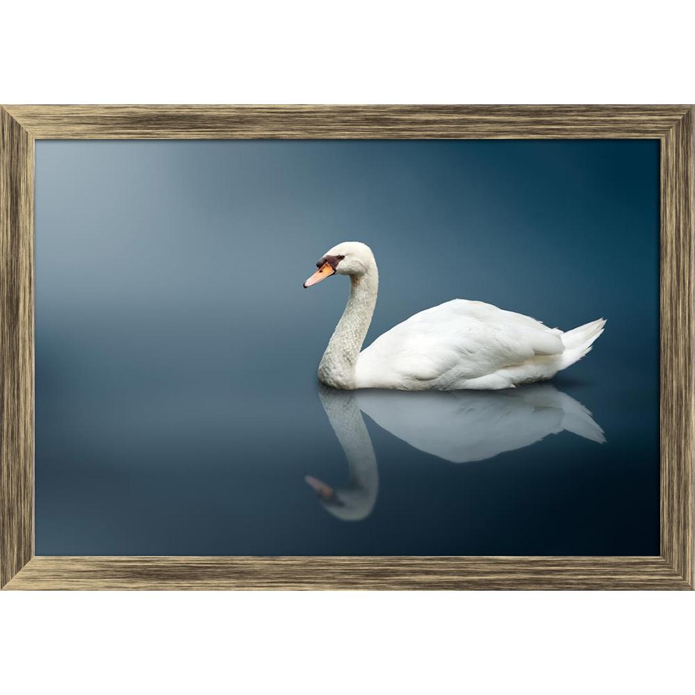 ArtzFolio Mute Swan (Cygnus Olor) Canvas Painting-Paintings Wooden Framing-AZ5005775ART_FR_RF_R-0-Image Code 5005775 Vishnu Image Folio Pvt Ltd, IC 5005775, ArtzFolio, Paintings Wooden Framing, Birds, Photography, mute, swan, (cygnus, olor), canvas, painting, framed, print, wall, for, living, room, with, frame, poster, pitaara, box, large, size, drawing, art, split, big, office, reception, of, kids, panel, designer, decorative, amazonbasics, reprint, small, bedroom, on, scenery, cygnus, olor, animal, animal
