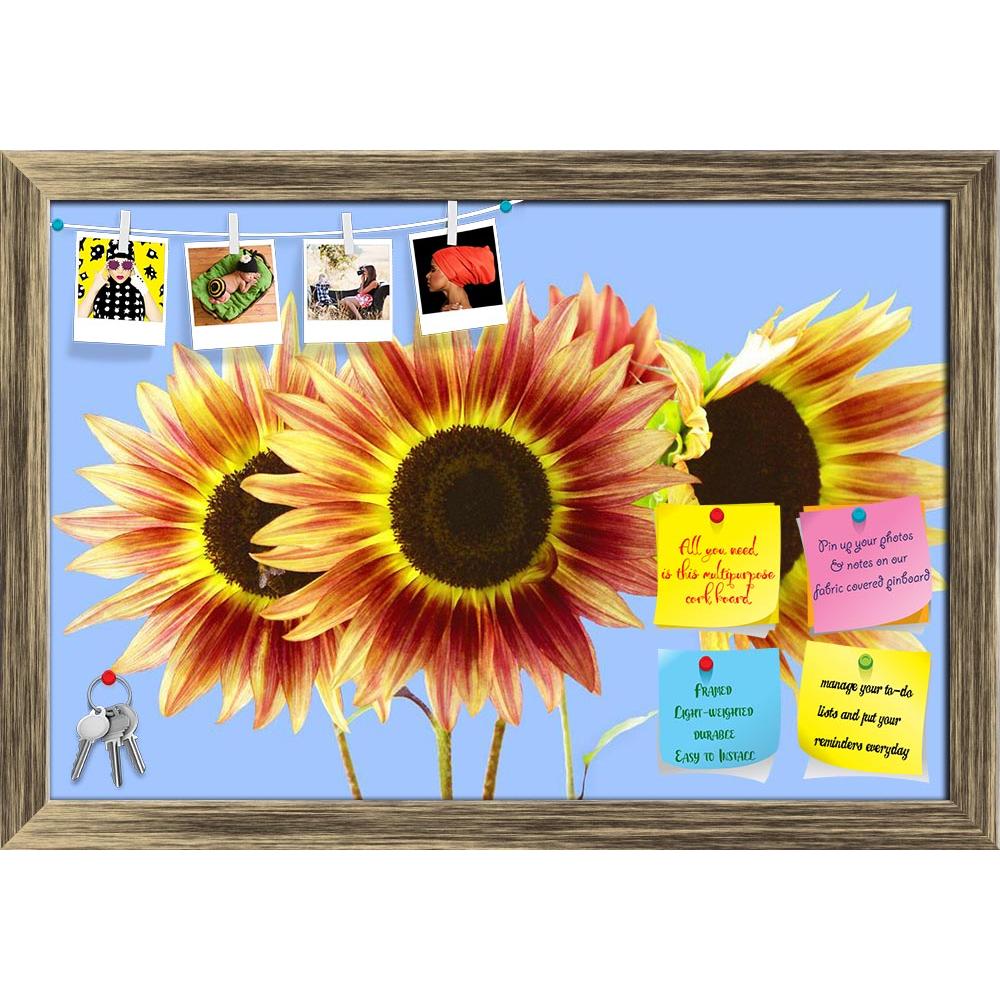ArtzFolio Three Red & Yellow Sunflowers On Blue Printed Bulletin Board Notice Pin Board Soft Board | Framed-Bulletin Boards Framed-AZ5005780BLB_FR_RF_R-0-Image Code 5005780 Vishnu Image Folio Pvt Ltd, IC 5005780, ArtzFolio, Bulletin Boards Framed, Floral, Photography, three, red, yellow, sunflowers, on, blue, printed, bulletin, board, notice, pin, soft, framed, flowers, and, background, interwined, large, macro, closeup, sun, ladybugs, crops, tiny, details, wildlife, colored, organic, cute, isolated, bugs, 