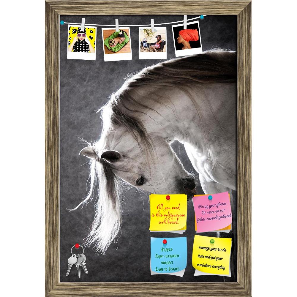 ArtzFolio White Andalusian Horse on a Dark Background Printed Bulletin Board Notice Pin Board Soft Board | Framed-Bulletin Boards Framed-AZ5005781BLB_FR_RF_R-0-Image Code 5005781 Vishnu Image Folio Pvt Ltd, IC 5005781, ArtzFolio, Bulletin Boards Framed, Animals, Photography, white, andalusian, horse, on, a, dark, background, printed, bulletin, board, notice, pin, soft, framed, animal, grey, beautiful, breed, equestrian, equine, face, mane, mare, portrait, spanish, stallion, studio, thoroughbred, vertical, m
