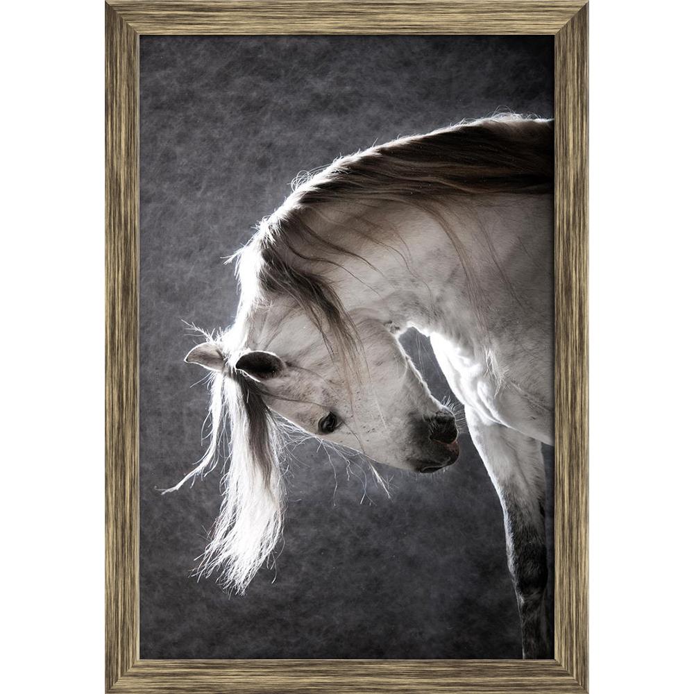 ArtzFolio White Andalusian Horse on a Dark Background Canvas Painting-Paintings Wooden Framing-AZ5005781ART_FR_RF_R-0-Image Code 5005781 Vishnu Image Folio Pvt Ltd, IC 5005781, ArtzFolio, Paintings Wooden Framing, Animals, Photography, white, andalusian, horse, on, a, dark, background, canvas, painting, framed, print, wall, for, living, room, with, frame, poster, pitaara, box, large, size, drawing, art, split, big, office, reception, of, kids, panel, designer, decorative, amazonbasics, reprint, small, bedro