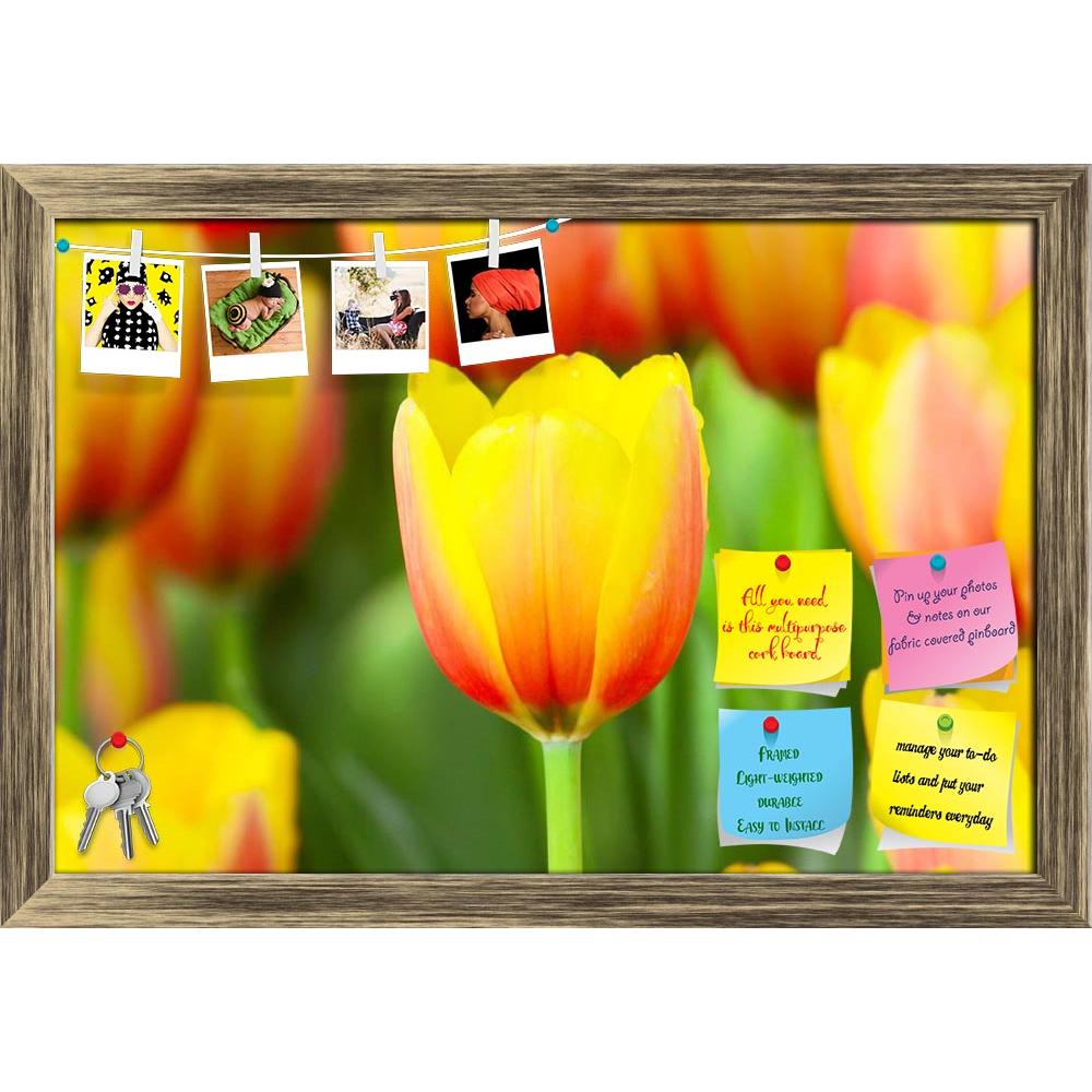 ArtzFolio Photo of Tulips With a Drop Of Water Printed Bulletin Board Notice Pin Board Soft Board | Framed-Bulletin Boards Framed-AZ5005790BLB_FR_RF_R-0-Image Code 5005790 Vishnu Image Folio Pvt Ltd, IC 5005790, ArtzFolio, Bulletin Boards Framed, Floral, Photography, photo, of, tulips, with, a, drop, water, printed, bulletin, board, notice, pin, soft, framed, flower, arrangement, background, beautiful, beauty, bloom, blur, botany, bouquet, bright, bunch, color, colorful, colors, decoration, environment, far