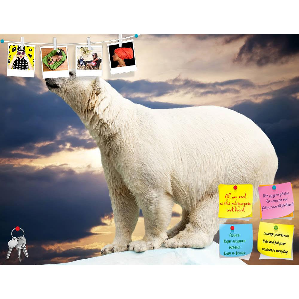 ArtzFolio Polar Bear In Wildness Area Against Sunset Printed Bulletin Board Notice Pin Board Soft Board | Frameless-Bulletin Boards Frameless-AZ5005794BLB_FL_RF_R-0-Image Code 5005794 Vishnu Image Folio Pvt Ltd, IC 5005794, ArtzFolio, Bulletin Boards Frameless, Animals, Photography, polar, bear, in, wildness, area, against, sunset, printed, bulletin, board, notice, pin, soft, frameless, animal, arctic, captive, captivity, clouds, dangerous, endangered, extinction, fur, habitat, hunt, hunter, ice, ice-cap, m