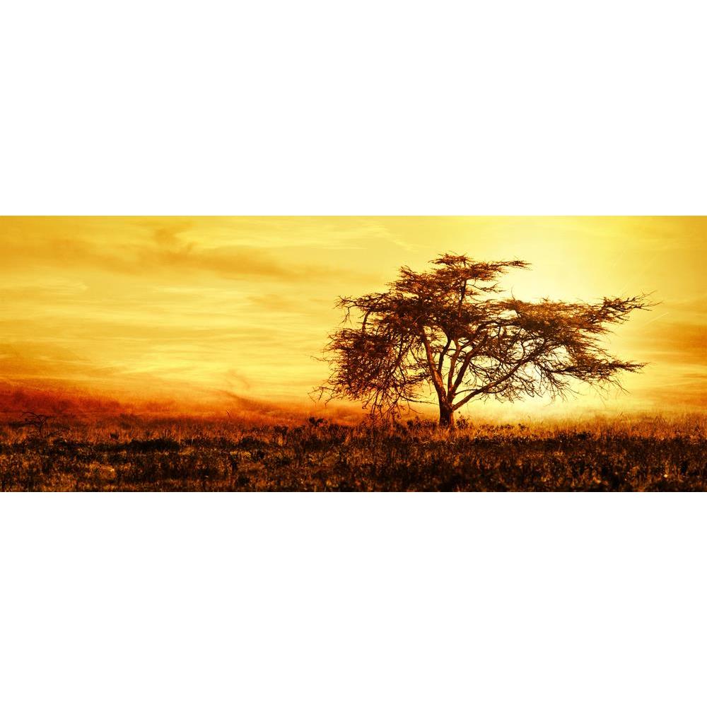 ArtzFolio African Tree Silhouette Over Sunset Unframed Premium Canvas Painting-Paintings Unframed Premium-AZ5005806ART_UN_RF_R-0-Image Code 5005806 Vishnu Image Folio Pvt Ltd, IC 5005806, ArtzFolio, Paintings Unframed Premium, Landscapes, Photography, african, tree, silhouette, over, sunset, unframed, premium, canvas, painting, large, size, print, wall, for, living, room, without, frame, decorative, poster, art, pitaara, box, drawing, amazonbasics, big, kids, designer, office, reception, reprint, bedroom, p
