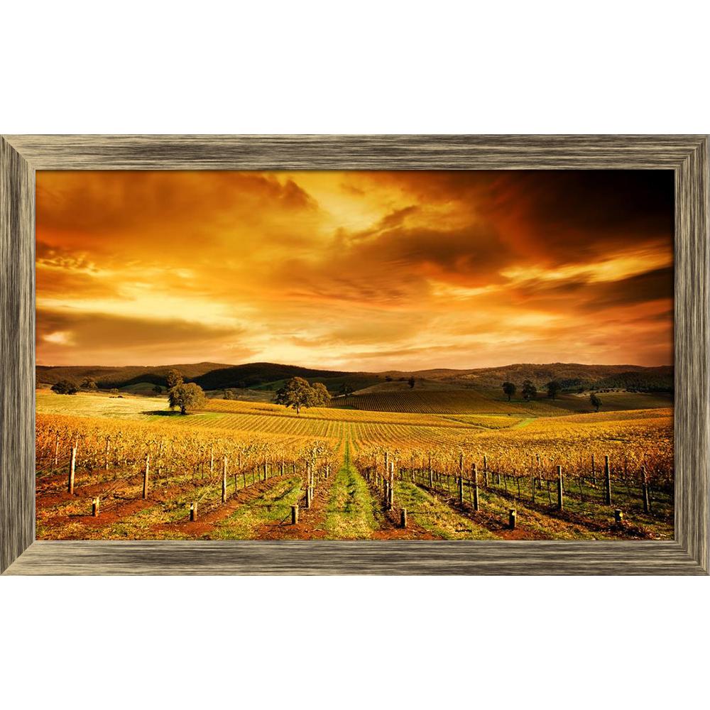 ArtzFolio Sunset Over An Autumn Vineyard In South Australia Canvas Painting Synthetic Frame-Paintings Synthetic Framing-AZ5005808ART_FR_RF_R-0-Image Code 5005808 Vishnu Image Folio Pvt Ltd, IC 5005808, ArtzFolio, Paintings Synthetic Framing, Landscapes, Places, Photography, sunset, over, an, autumn, vineyard, in, south, australia, canvas, painting, synthetic, frame, framed, print, wall, for, living, room, with, poster, pitaara, box, large, size, drawing, art, split, big, office, reception, of, kids, panel, 