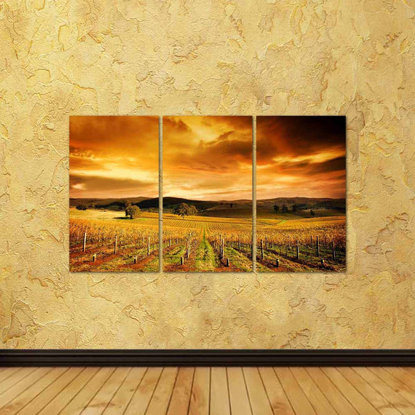 ArtzFolio Sunset Over An Autumn Vineyard In South Australia Split Art Painting Panel on Sunboard-Split Art Panels-AZ5005808SPL_FR_RF_R-0-Image Code 5005808 Vishnu Image Folio Pvt Ltd, IC 5005808, ArtzFolio, Split Art Panels, Landscapes, Places, Photography, sunset, over, an, autumn, vineyard, in, south, australia, split, art, painting, panel, on, sunboard, framed, canvas, print, wall, for, living, room, with, frame, poster, pitaara, box, large, size, drawing, big, office, reception, of, kids, designer, deco