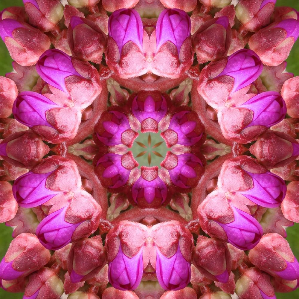 ArtzFolio Purple Floral Mandala D2 Peel & Stick Vinyl Wall Sticker-Laminated Wall Stickers-AZ5005813ART_UN_RF_R-0-Image Code 5005813 Vishnu Image Folio Pvt Ltd, IC 5005813, ArtzFolio, Laminated Wall Stickers, Abstract, Traditional, Digital Art, purple, floral, mandala, d2, peel, stick, vinyl, wall, sticker, for, bedroom, large, size, decal, drawing, room, living, decorative, big, waterproof, home, office, reception, pitaara, box, designer, prints, kids, pvc, amazonbasics, washable, self, adhesive, imported,