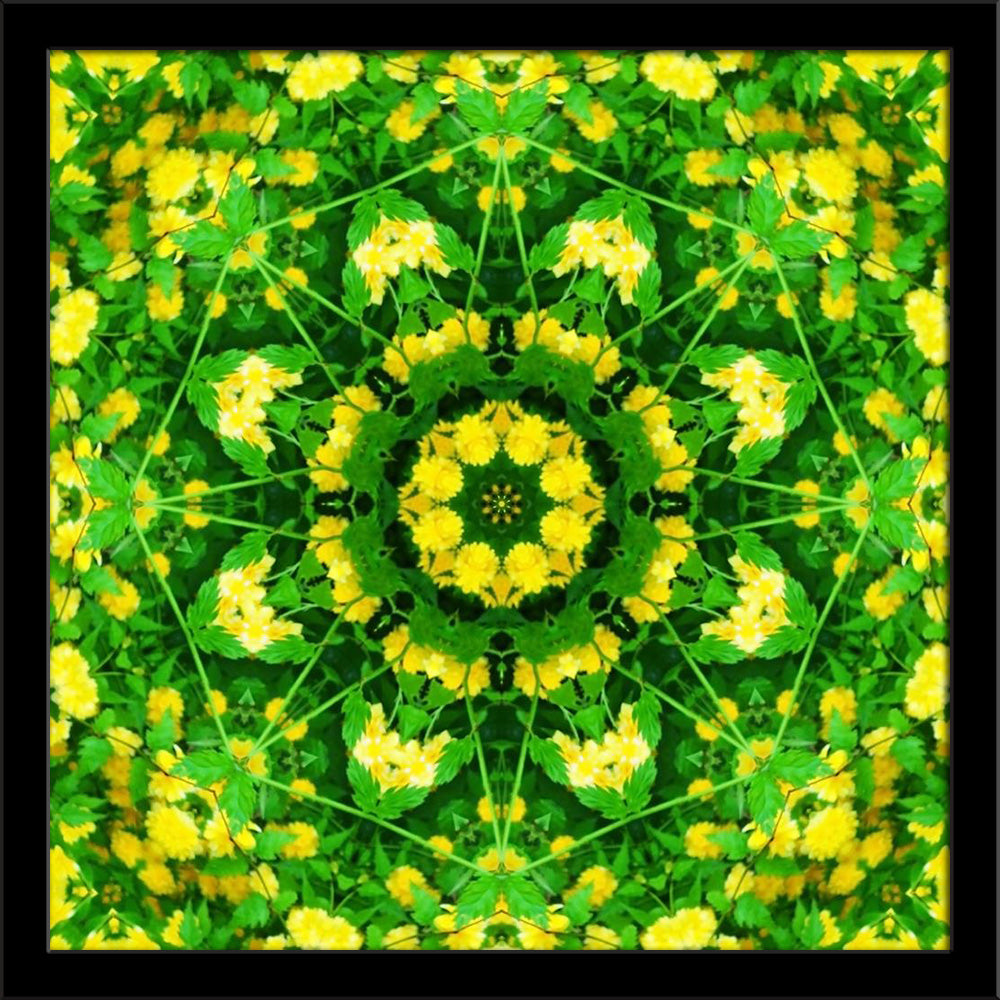 Spring Mandala Flower Painting Poster Frame-Regular Art Framed-REG_FR-IC 5005830 IC 5005830, Abstract Expressionism, Abstracts, Art and Paintings, Botanical, Circle, Digital, Digital Art, Floral, Flowers, Geometric, Geometric Abstraction, Graphic, Illustrations, Mandala, Modern Art, Nature, Semi Abstract, spring, flower, painting, poster, frame, abstract, art, artistic, backdrop, background, center, circular, concentric, curve, decor, decoration, fresh, green, illustration, kaleidoscope, modern, ornamental,