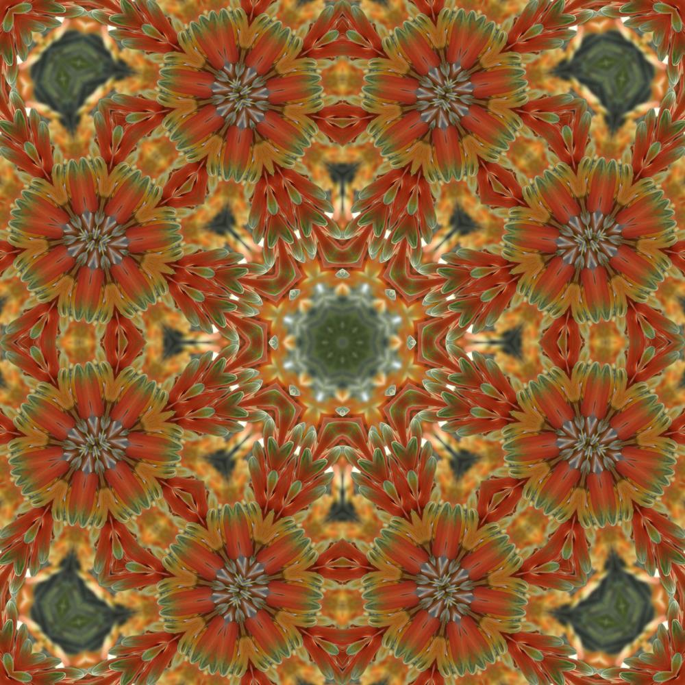 ArtzFolio Orange Mandala Canvas Painting-Paintings MDF Framing-AZ5005831ART_UN_RF_R-0-Image Code 5005831 Vishnu Image Folio Pvt Ltd, IC 5005831, ArtzFolio, Paintings MDF Framing, Abstract, Traditional, Digital Art, orange, mandala, canvas, painting, framed, print, wall, for, living, room, with, frame, poster, pitaara, box, large, size, drawing, art, split, big, office, reception, photography, of, kids, panel, designer, decorative, amazonbasics, reprint, small, bedroom, on, scenery, bright, floral, flower, r