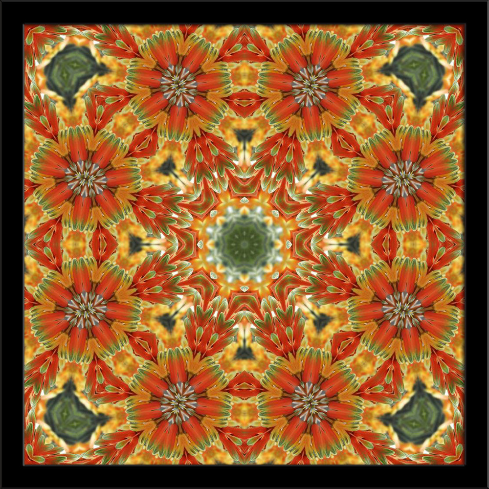 Orange Mandala Painting Poster Frame-Regular Art Framed-REG_FR-IC 5005831 IC 5005831, Abstract Expressionism, Abstracts, Art and Paintings, Black and White, Botanical, Circle, Digital, Digital Art, Floral, Flowers, Geometric, Geometric Abstraction, Graphic, Icons, Illustrations, Mandala, Modern Art, Nature, Semi Abstract, White, orange, painting, poster, frame, abstract, art, artistic, backdrop, background, bright, center, circular, concentric, curve, decor, decoration, flower, green, icon, illustration, ka