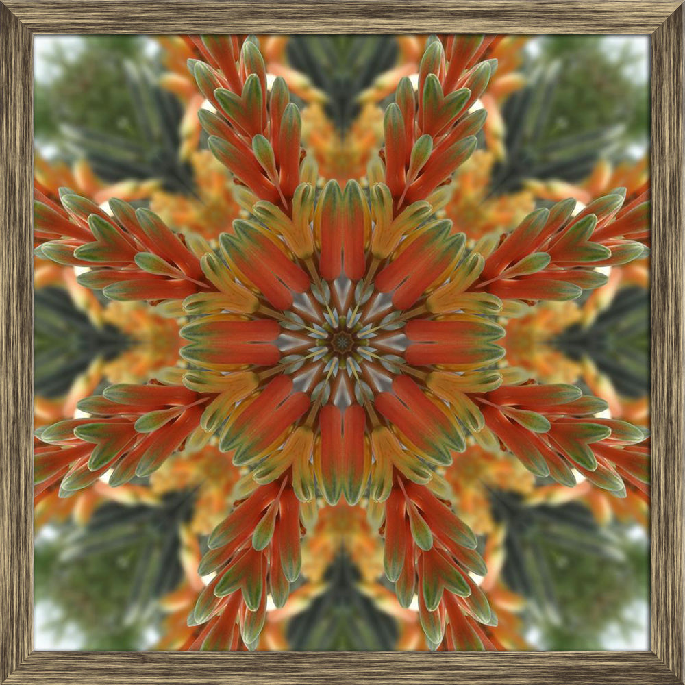 ArtzFolio Bright Floral Mandala Canvas Painting-Paintings Wooden Framing-AZ5005832ART_FR_RF_R-0-Image Code 5005832 Vishnu Image Folio Pvt Ltd, IC 5005832, ArtzFolio, Paintings Wooden Framing, Abstract, Traditional, Digital Art, bright, floral, mandala, canvas, painting, framed, print, wall, for, living, room, with, frame, poster, pitaara, box, large, size, drawing, art, split, big, office, reception, photography, of, kids, panel, designer, decorative, amazonbasics, reprint, small, bedroom, on, scenery, flow