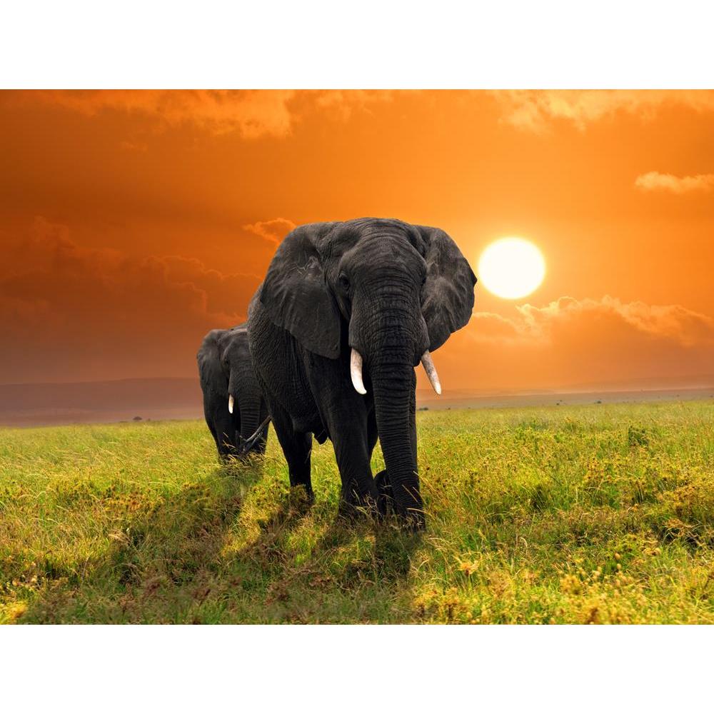 ArtzFolio African Elephants Walking in Savannah, Tanzania Canvas Painting-Paintings MDF Framing-AZ5005833ART_UN_RF_R-0-Image Code 5005833 Vishnu Image Folio Pvt Ltd, IC 5005833, ArtzFolio, Paintings MDF Framing, Animals, Photography, african, elephants, walking, in, savannah, tanzania, canvas, painting, framed, print, wall, for, living, room, with, frame, poster, pitaara, box, large, size, drawing, art, split, big, office, reception, of, kids, panel, designer, decorative, amazonbasics, reprint, small, bedro