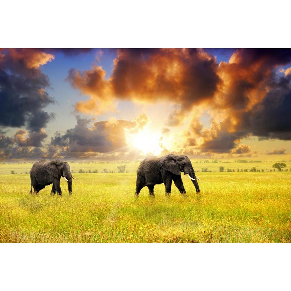 ArtzFolio African Elephants In The Savannah, Tanzania, Africa Canvas Painting-Paintings MDF Framing-AZ5005837ART_UN_RF_R-0-Image Code 5005837 Vishnu Image Folio Pvt Ltd, IC 5005837, ArtzFolio, Paintings MDF Framing, Animals, Photography, african, elephants, in, the, savannah, tanzania, africa, canvas, painting, framed, print, wall, for, living, room, with, frame, poster, pitaara, box, large, size, drawing, art, split, big, office, reception, of, kids, panel, designer, decorative, amazonbasics, reprint, smal