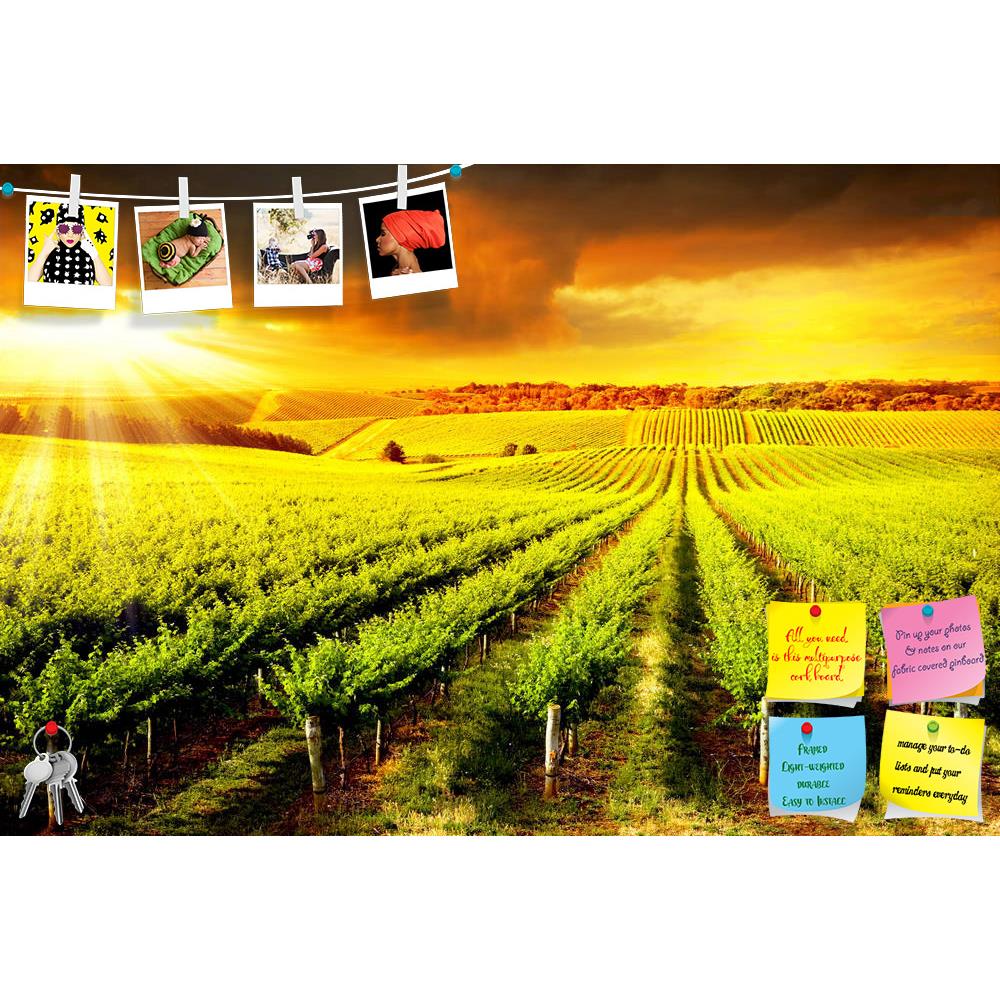 ArtzFolio Sunset Over A Barossa Vineyard Printed Bulletin Board Notice Pin Board Soft Board | Frameless-Bulletin Boards Frameless-AZ5005859BLB_FL_RF_R-0-Image Code 5005859 Vishnu Image Folio Pvt Ltd, IC 5005859, ArtzFolio, Bulletin Boards Frameless, Landscapes, Photography, sunset, over, a, barossa, vineyard, printed, bulletin, board, notice, pin, soft, frameless, adelaide, agriculture, australia, beauty, clouds, colour, country, dawn, farm, field, fresh, fruit, glow, grapes, grass, green, growing, hot, lan