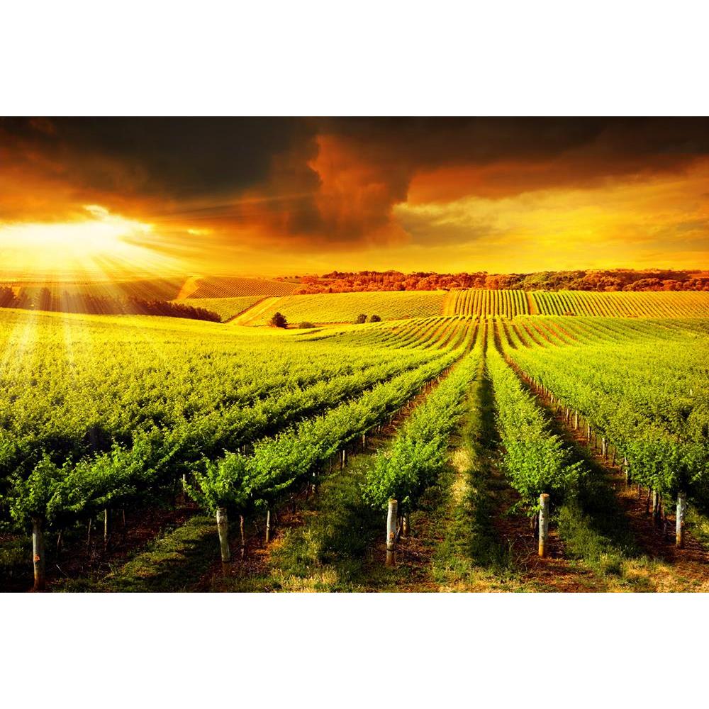 ArtzFolio Sunset Over A Barossa Vineyard Canvas Painting-Paintings MDF Framing-AZ5005859ART_UN_RF_R-0-Image Code 5005859 Vishnu Image Folio Pvt Ltd, IC 5005859, ArtzFolio, Paintings MDF Framing, Landscapes, Photography, sunset, over, a, barossa, vineyard, canvas, painting, framed, print, wall, for, living, room, with, frame, poster, pitaara, box, large, size, drawing, art, split, big, office, reception, of, kids, panel, designer, decorative, amazonbasics, reprint, small, bedroom, on, scenery, adelaide, agri