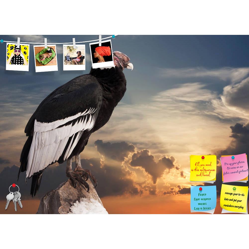 ArtzFolio Andean Condor Sitting On Rock Printed Bulletin Board Notice Pin Board Soft Board | Frameless-Bulletin Boards Frameless-AZ5005872BLB_FL_RF_R-0-Image Code 5005872 Vishnu Image Folio Pvt Ltd, IC 5005872, ArtzFolio, Bulletin Boards Frameless, Birds, Photography, andean, condor, sitting, on, rock, printed, bulletin, board, notice, pin, soft, frameless, vultur, gryphus, vulture, animal, beak, bird, brown, feather, flight, fly, haliaeetus, head, nature, portrait, predator, wild, wildlife, bill, flying, a