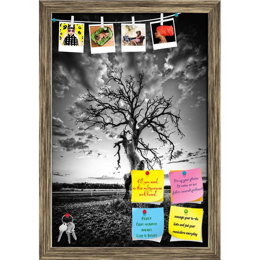 ArtzFolio Alone Dead Tree on Country Highway Printed Bulletin Board Notice Pin Board Soft Board | Framed-Bulletin Boards Framed-AZ5005873BLB_FR_RF_R-0-Image Code 5005873 Vishnu Image Folio Pvt Ltd, IC 5005873, ArtzFolio, Bulletin Boards Framed, Landscapes, Vintage, Photography, alone, dead, tree, on, country, highway, printed, bulletin, board, notice, pin, soft, framed, tall, wood, bark, grow, dry, big, sky, set, one, sun, old, stem, epic, fall, root, twigs, green, white, cloud, grass, black, bough, plant, 