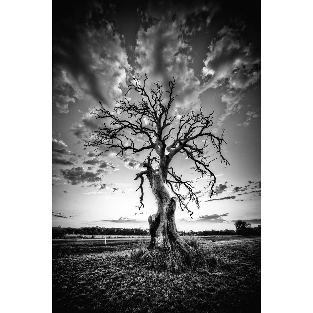ArtzFolio Alone Dead Tree on Country Highway Canvas Painting-Paintings MDF Framing-AZ5005873ART_UN_RF_R-0-Image Code 5005873 Vishnu Image Folio Pvt Ltd, IC 5005873, ArtzFolio, Paintings MDF Framing, Landscapes, Vintage, Photography, alone, dead, tree, on, country, highway, canvas, painting, framed, print, wall, for, living, room, with, frame, poster, pitaara, box, large, size, drawing, art, split, big, office, reception, of, kids, panel, designer, decorative, amazonbasics, reprint, small, bedroom, scenery, 