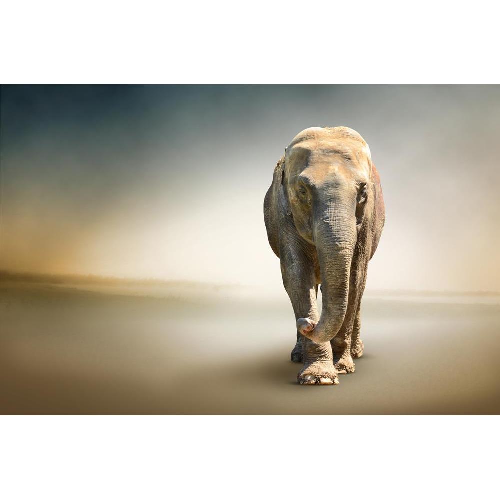 ArtzFolio Elephant Largest Terrestrial Animal Unframed Premium Canvas Painting-Paintings Unframed Premium-AZ5005877ART_UN_RF_R-0-Image Code 5005877 Vishnu Image Folio Pvt Ltd, IC 5005877, ArtzFolio, Paintings Unframed Premium, Animals, Photography, elephant, largest, terrestrial, animal, unframed, premium, canvas, painting, large, size, print, wall, for, living, room, without, frame, decorative, poster, art, pitaara, box, drawing, amazonbasics, big, kids, designer, office, reception, reprint, bedroom, panel