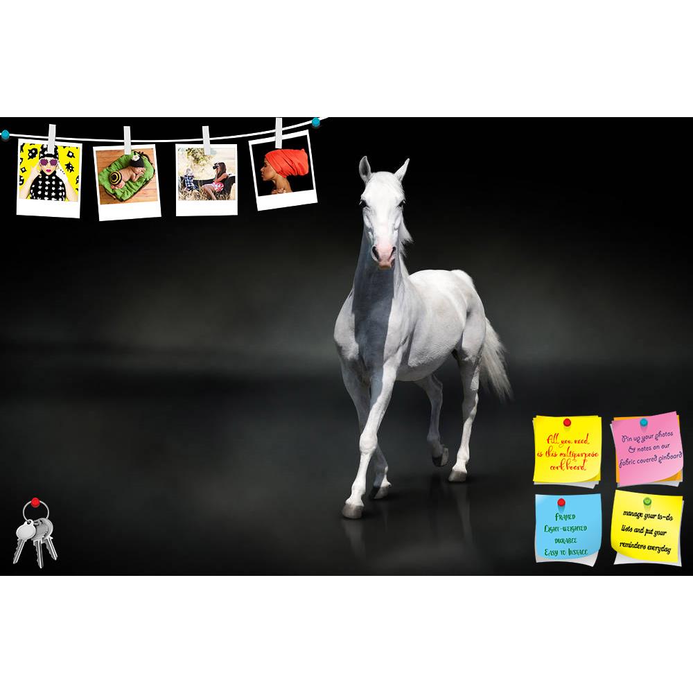 ArtzFolio White Horse Isolated On Black Printed Bulletin Board Notice Pin Board Soft Board | Frameless-Bulletin Boards Frameless-AZ5005881BLB_FL_RF_R-0-Image Code 5005881 Vishnu Image Folio Pvt Ltd, IC 5005881, ArtzFolio, Bulletin Boards Frameless, Animals, Photography, white, horse, isolated, on, black, printed, bulletin, board, notice, pin, soft, frameless, abstract, animal, arab, arabian, art, background, beautiful, beauty, elegant, equestrian, equine, farm, fauna, free, freedom, light, lipizzaner, mamma