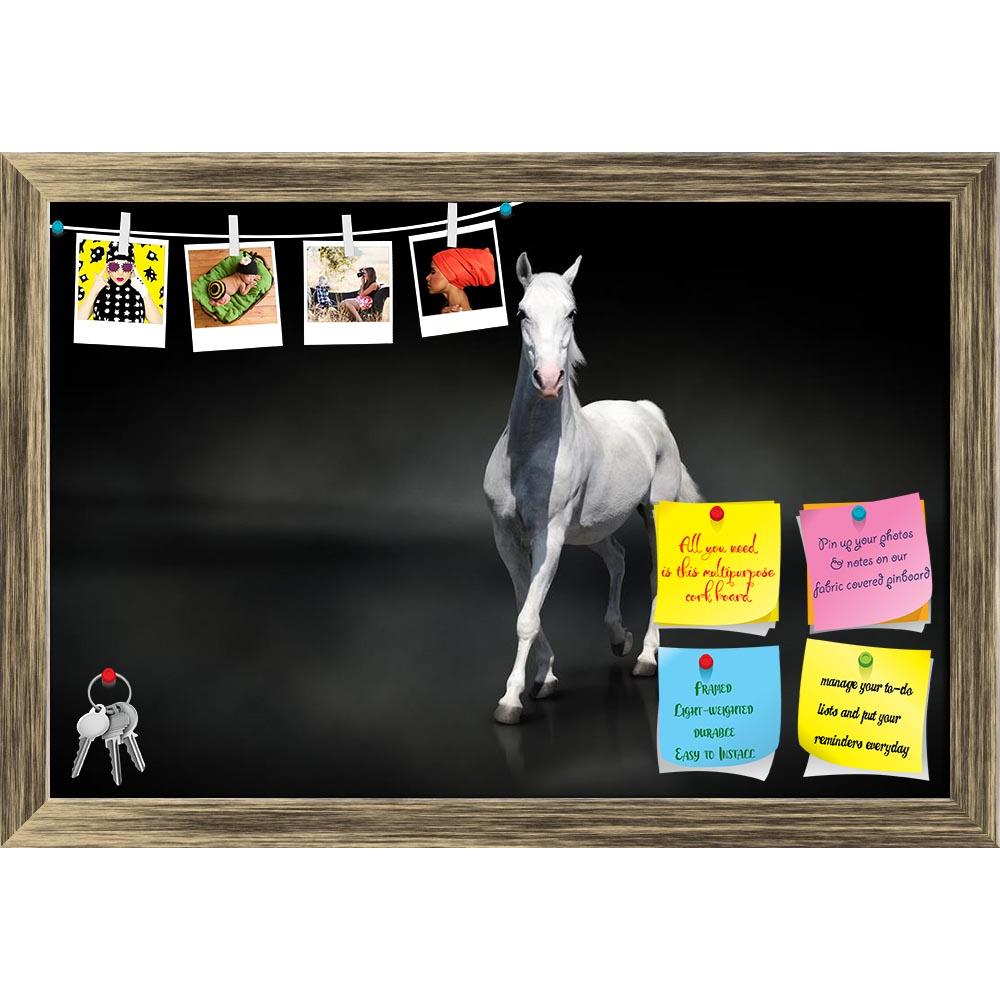 ArtzFolio White Horse Isolated On Black Printed Bulletin Board Notice Pin Board Soft Board | Framed-Bulletin Boards Framed-AZ5005881BLB_FR_RF_R-0-Image Code 5005881 Vishnu Image Folio Pvt Ltd, IC 5005881, ArtzFolio, Bulletin Boards Framed, Animals, Photography, white, horse, isolated, on, black, printed, bulletin, board, notice, pin, soft, framed, abstract, animal, arab, arabian, art, background, beautiful, beauty, elegant, equestrian, equine, farm, fauna, free, freedom, light, lipizzaner, mammal, mane, mar