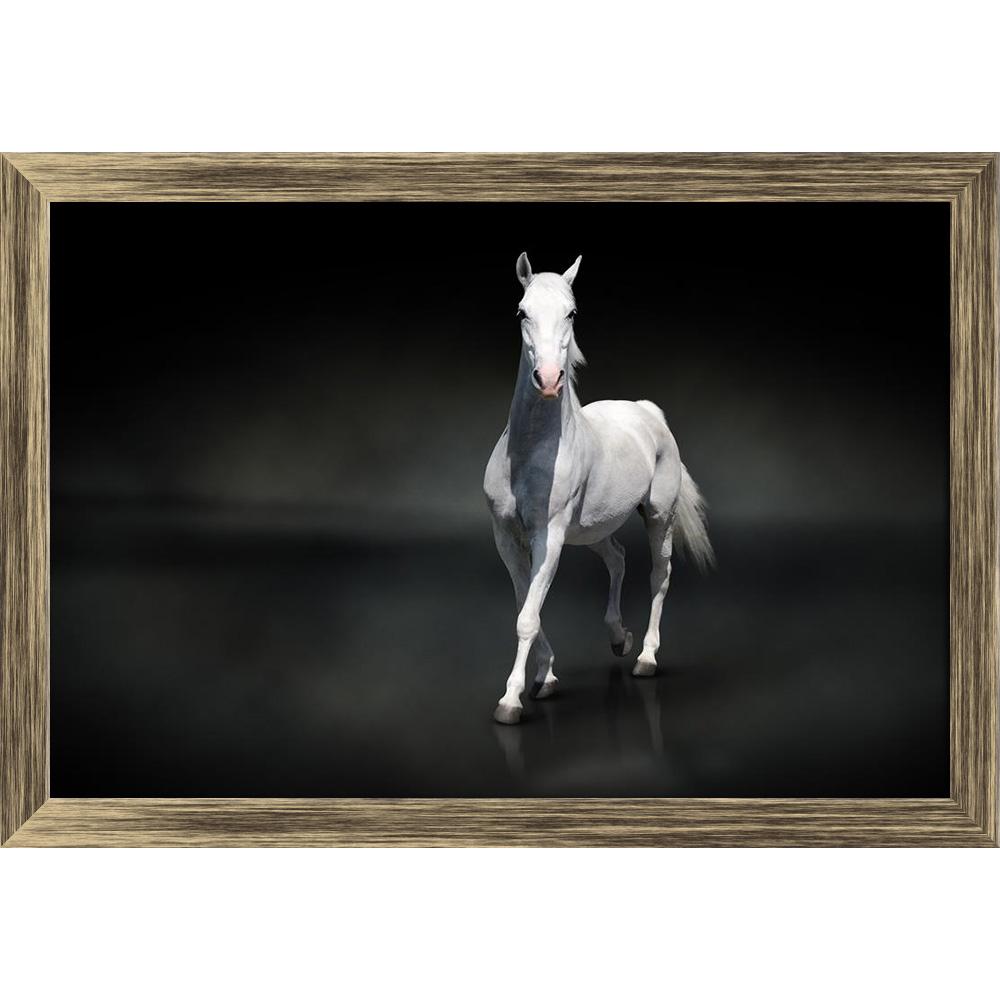 ArtzFolio White Horse Isolated On Black Canvas Painting-Paintings Wooden Framing-AZ5005881ART_FR_RF_R-0-Image Code 5005881 Vishnu Image Folio Pvt Ltd, IC 5005881, ArtzFolio, Paintings Wooden Framing, Animals, Photography, white, horse, isolated, on, black, canvas, painting, framed, print, wall, for, living, room, with, frame, poster, pitaara, box, large, size, drawing, art, split, big, office, reception, of, kids, panel, designer, decorative, amazonbasics, reprint, small, bedroom, scenery, abstract, animal,