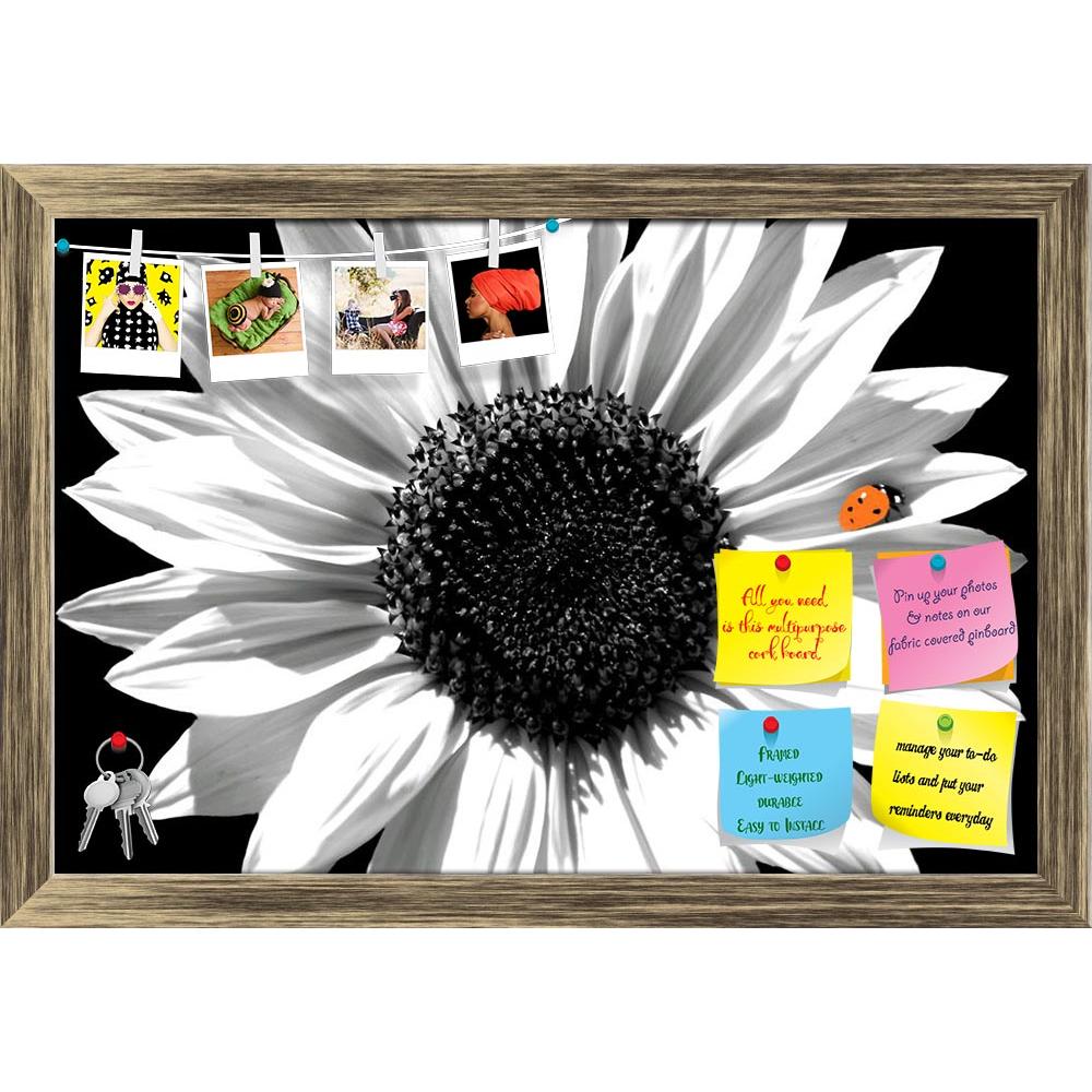 ArtzFolio Black & White Photo of Sunflower With Red Ladybug Printed Bulletin Board Notice Pin Board Soft Board | Framed-Bulletin Boards Framed-AZ5005887BLB_FR_RF_R-0-Image Code 5005887 Vishnu Image Folio Pvt Ltd, IC 5005887, ArtzFolio, Bulletin Boards Framed, Floral, Photography, black, white, photo, of, sunflower, with, red, ladybug, printed, bulletin, board, notice, pin, soft, framed, sunflowers, and, ladybugs, flora, fauna, landscapes, yards, vibrant, yellow, flowers, summer, august, september, perennial
