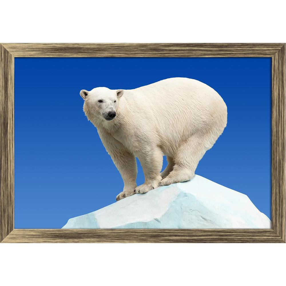 ArtzFolio Polar Bear In Wildness Area Against Blue Sky Canvas Painting-Paintings Wooden Framing-AZ5005888ART_FR_RF_R-0-Image Code 5005888 Vishnu Image Folio Pvt Ltd, IC 5005888, ArtzFolio, Paintings Wooden Framing, Animals, Photography, polar, bear, in, wildness, area, against, blue, sky, canvas, painting, framed, print, wall, for, living, room, with, frame, poster, pitaara, box, large, size, drawing, art, split, big, office, reception, of, kids, panel, designer, decorative, amazonbasics, reprint, small, be