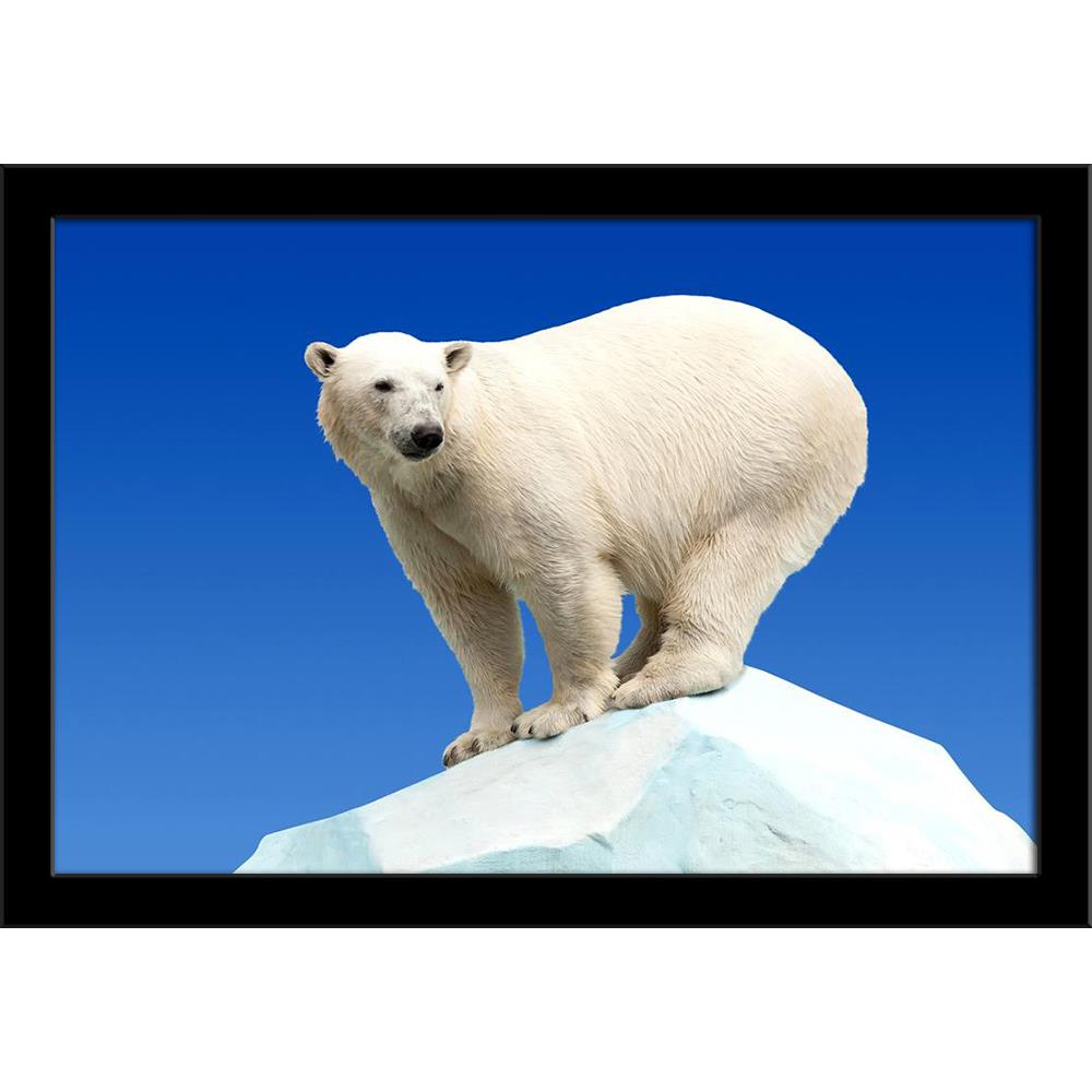 Polar Bear In Wildness Area Against Blue Sky Painting Poster Frame-Regular Art Framed-REG_FR-IC 5005888 IC 5005888, Animals, Black and White, Nature, Scenic, White, Wildlife, polar, bear, in, wildness, area, against, blue, sky, painting, poster, frame, aggressive, animal, arctic, captive, captivity, clouds, dangerous, endangered, extinction, fur, habitat, hunt, hunter, ice, mammal, marine, north, paw, pole, predator, reflex, sea, snow, swim, swimmer, threatened, vulnerable, wallpaper, warming, water, wild, 