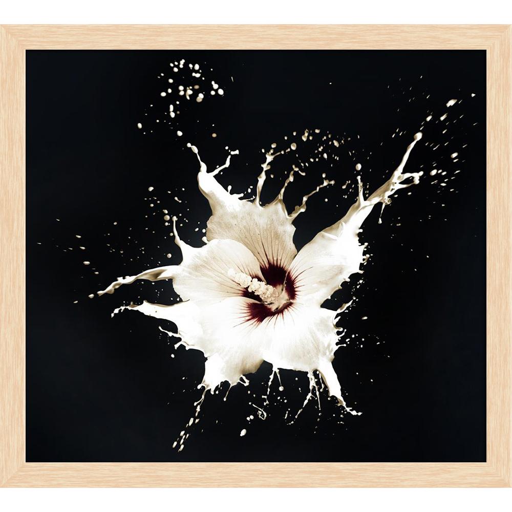 ArtzFolio White Flowers With Milk Splash On Black Background Canvas Painting Synthetic Frame-Paintings Synthetic Framing-AZ5005892ART_FR_RF_R-0-Image Code 5005892 Vishnu Image Folio Pvt Ltd, IC 5005892, ArtzFolio, Paintings Synthetic Framing, Floral, Photography, white, flowers, with, milk, splash, on, black, background, canvas, painting, synthetic, frame, framed, print, wall, for, living, room, poster, pitaara, box, large, size, drawing, art, split, big, office, reception, of, kids, panel, designer, decora